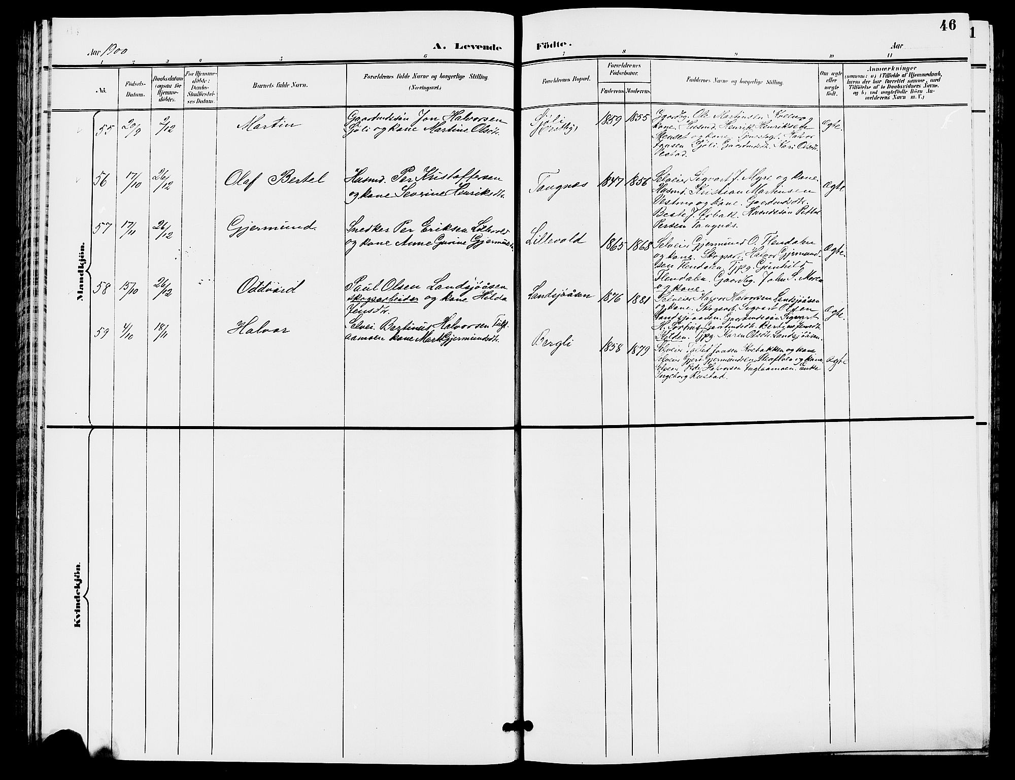 Trysil prestekontor, AV/SAH-PREST-046/H/Ha/Hab/L0006: Parish register (copy) no. 6, 1896-1912, p. 46