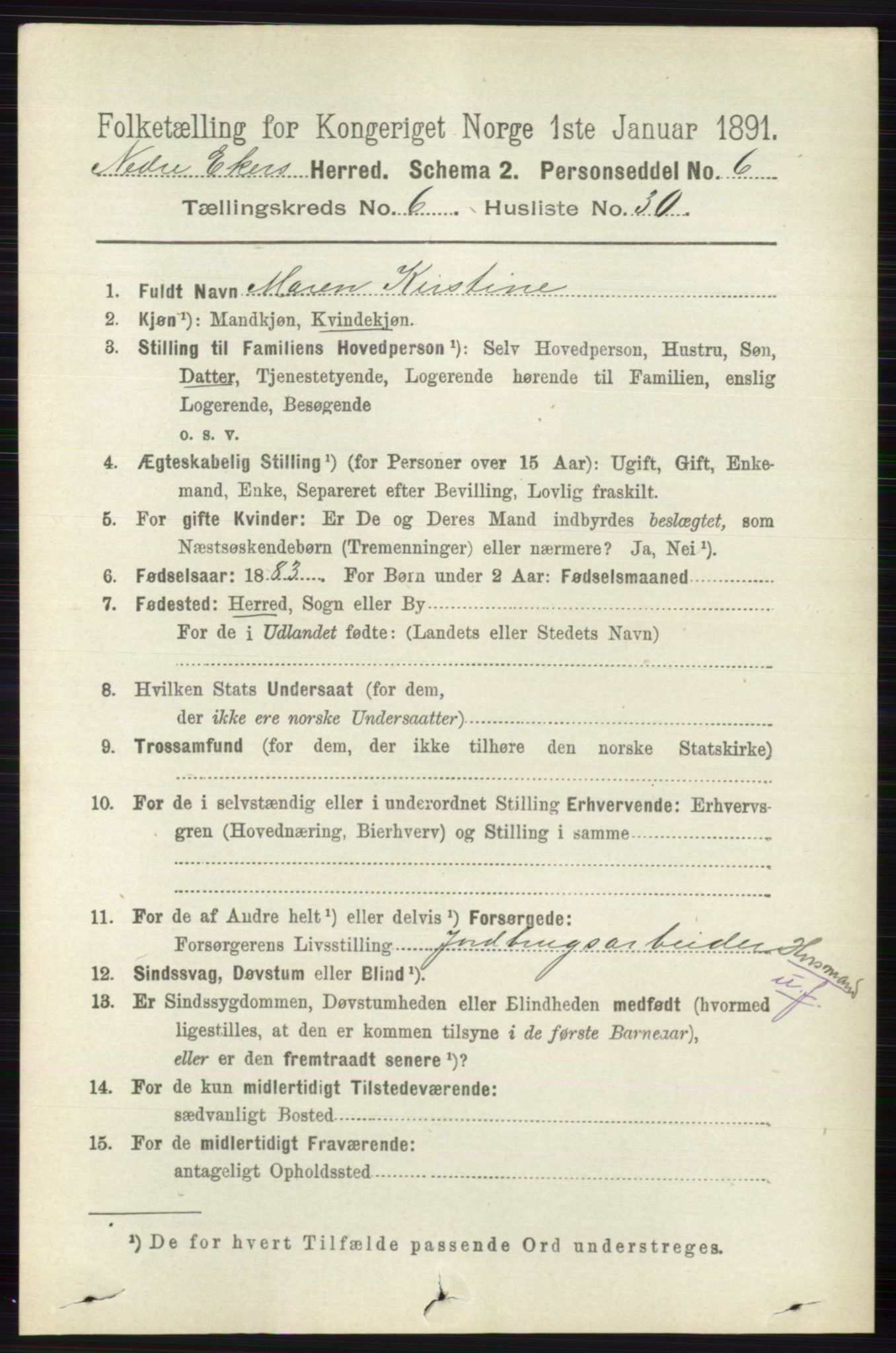 RA, 1891 census for 0625 Nedre Eiker, 1891, p. 3046