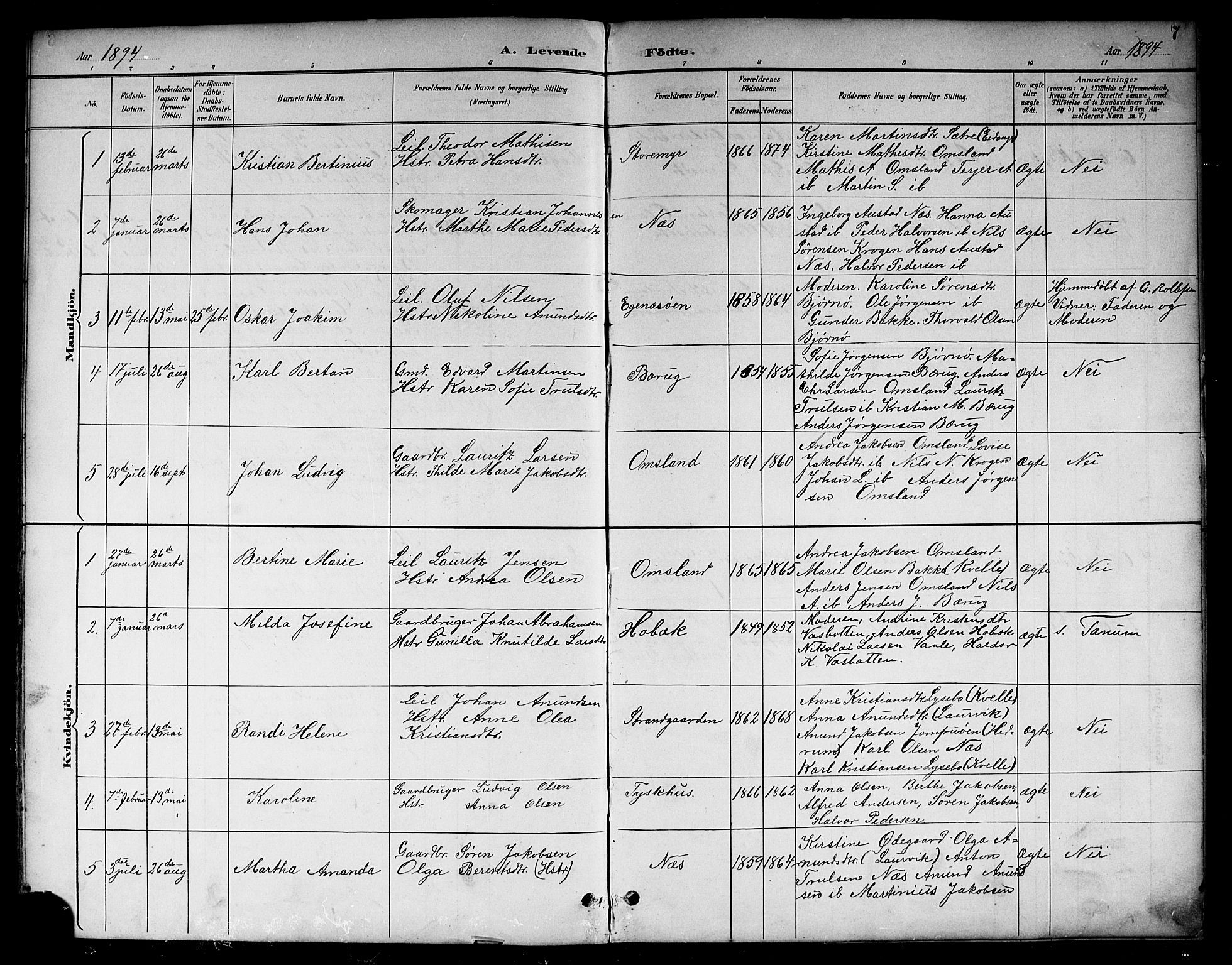 Brunlanes kirkebøker, SAKO/A-342/G/Gc/L0002: Parish register (copy) no. III 2, 1891-1922, p. 7