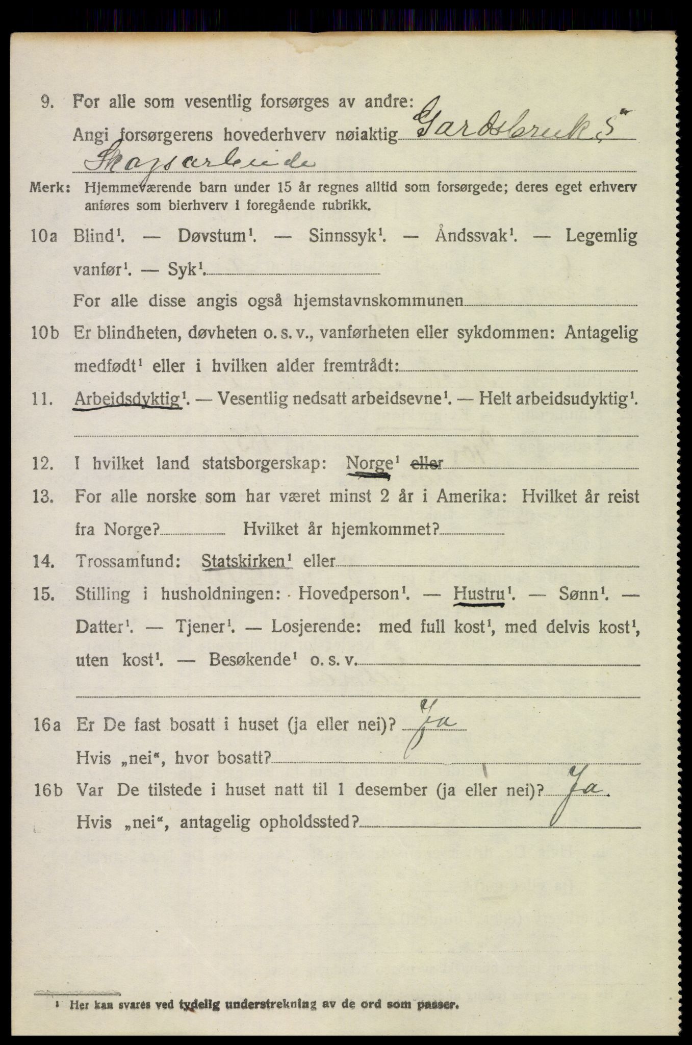 SAH, 1920 census for Engerdal, 1920, p. 484