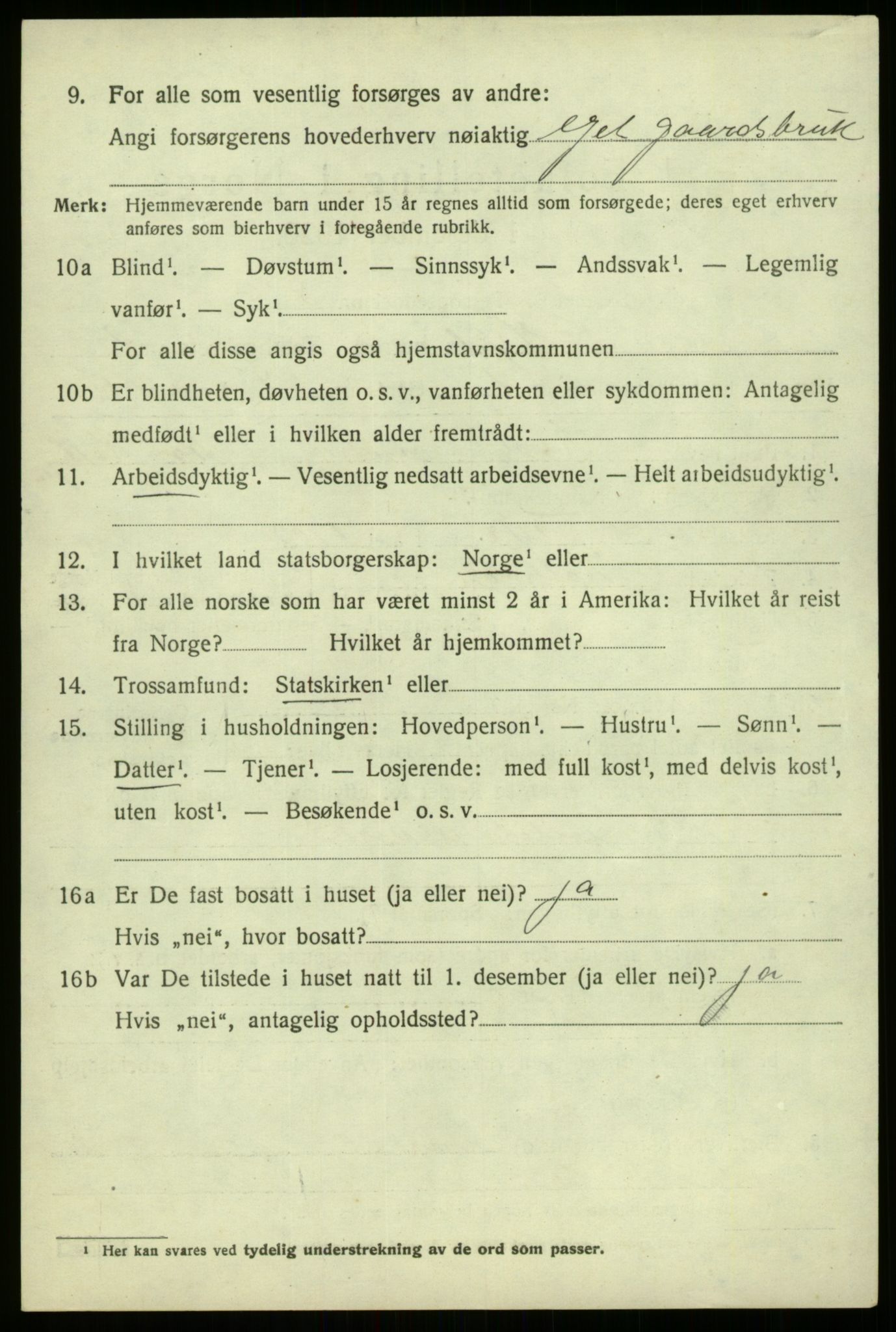 SAB, 1920 census for Hafslo, 1920, p. 2641