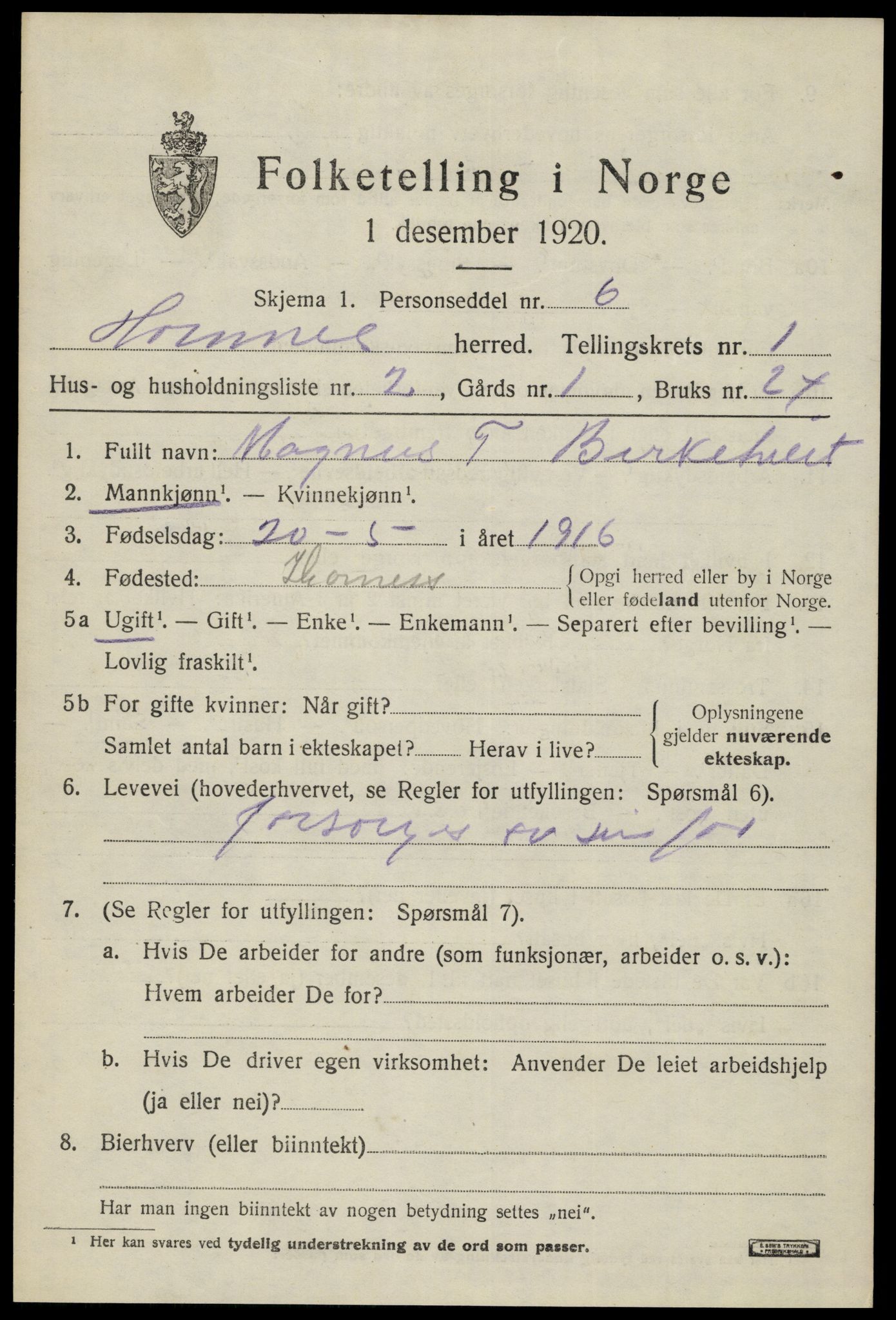 SAK, 1920 census for Hornnes, 1920, p. 577