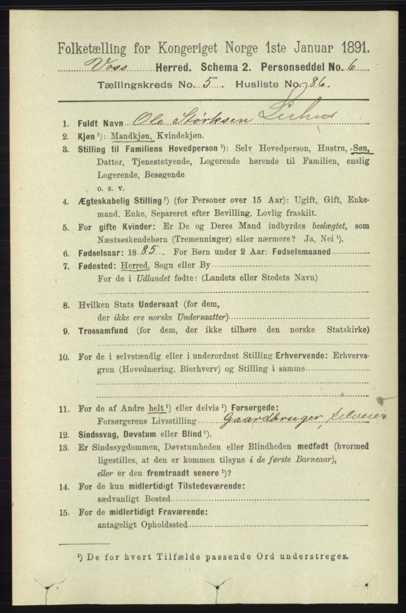 RA, 1891 census for 1235 Voss, 1891, p. 3201