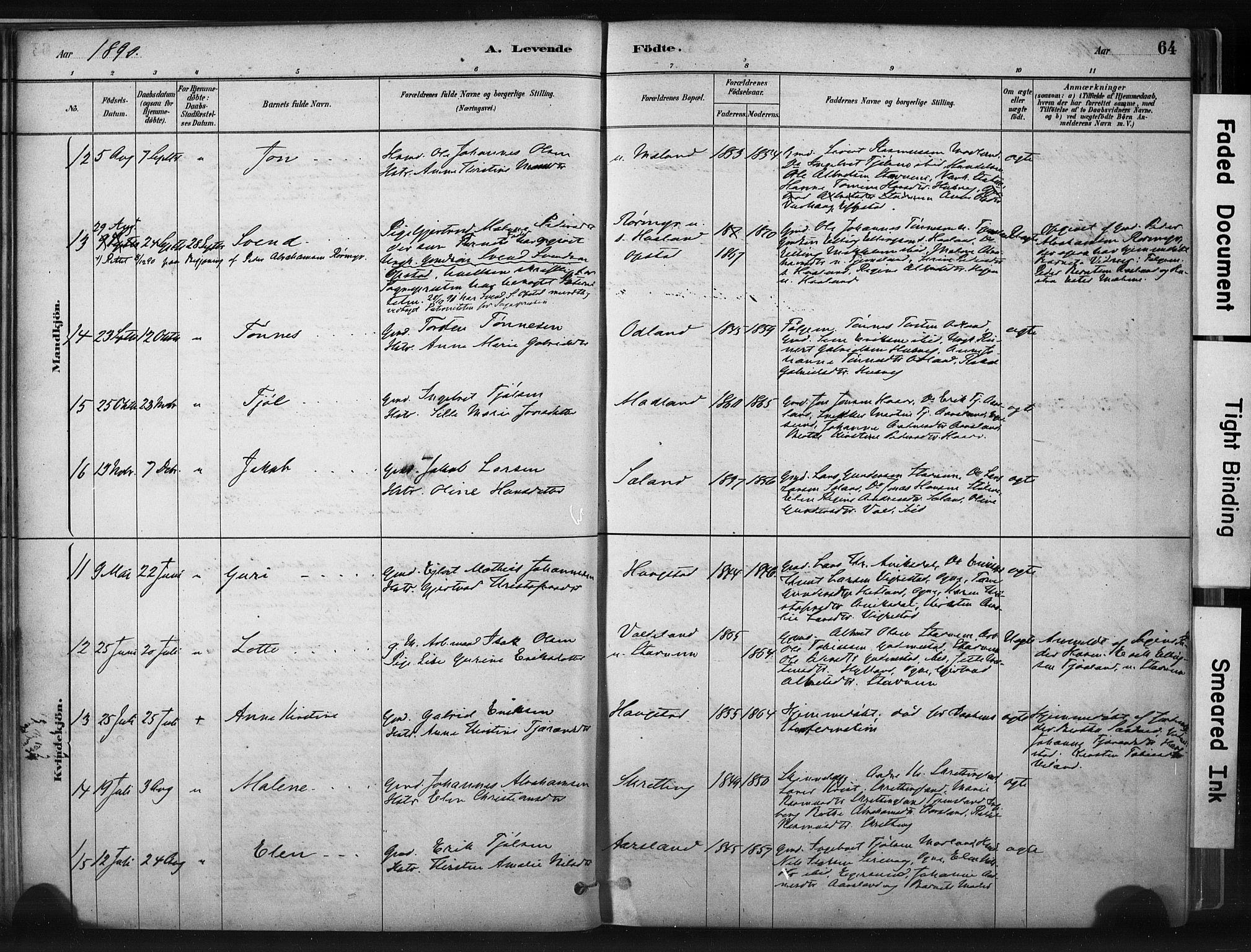 Hå sokneprestkontor, AV/SAST-A-101801/001/30BA/L0011: Parish register (official) no. A 10, 1879-1900, p. 64