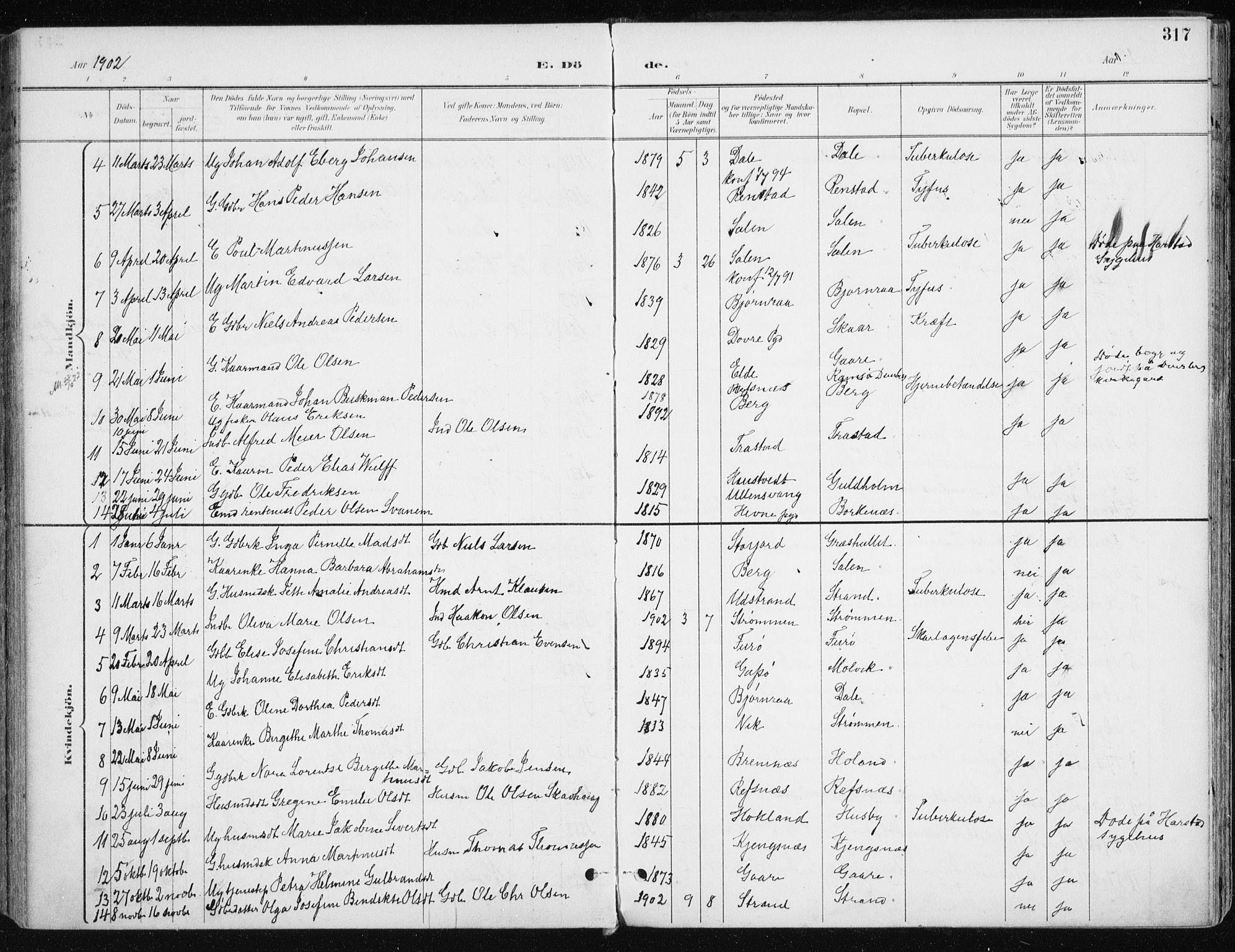 Kvæfjord sokneprestkontor, SATØ/S-1323/G/Ga/Gaa/L0006kirke: Parish register (official) no. 6, 1895-1914, p. 317