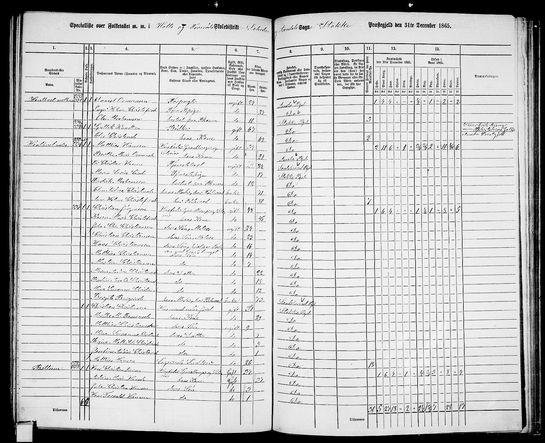 RA, 1865 census for Stokke, 1865, p. 163