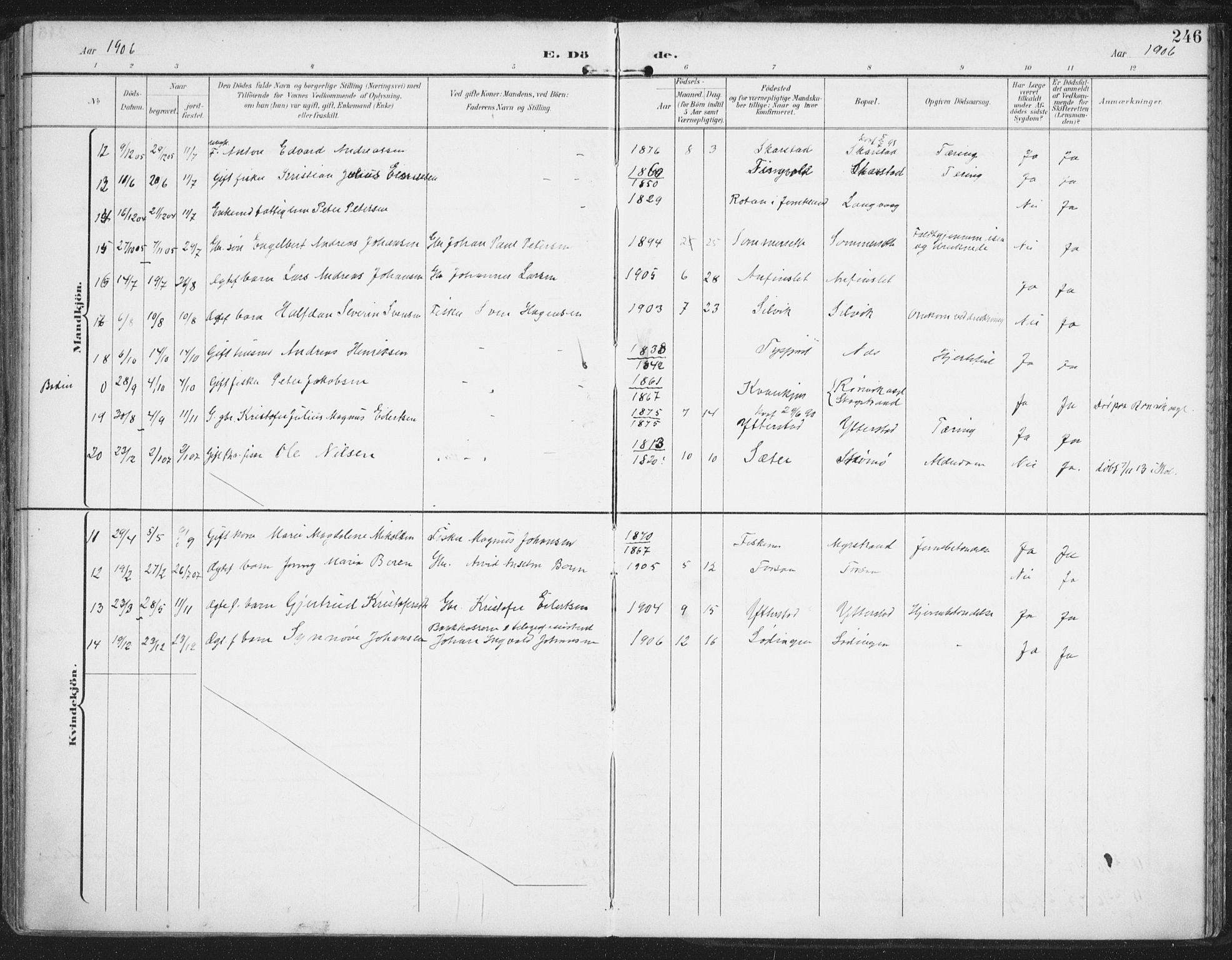 Ministerialprotokoller, klokkerbøker og fødselsregistre - Nordland, AV/SAT-A-1459/872/L1036: Parish register (official) no. 872A11, 1897-1913, p. 246