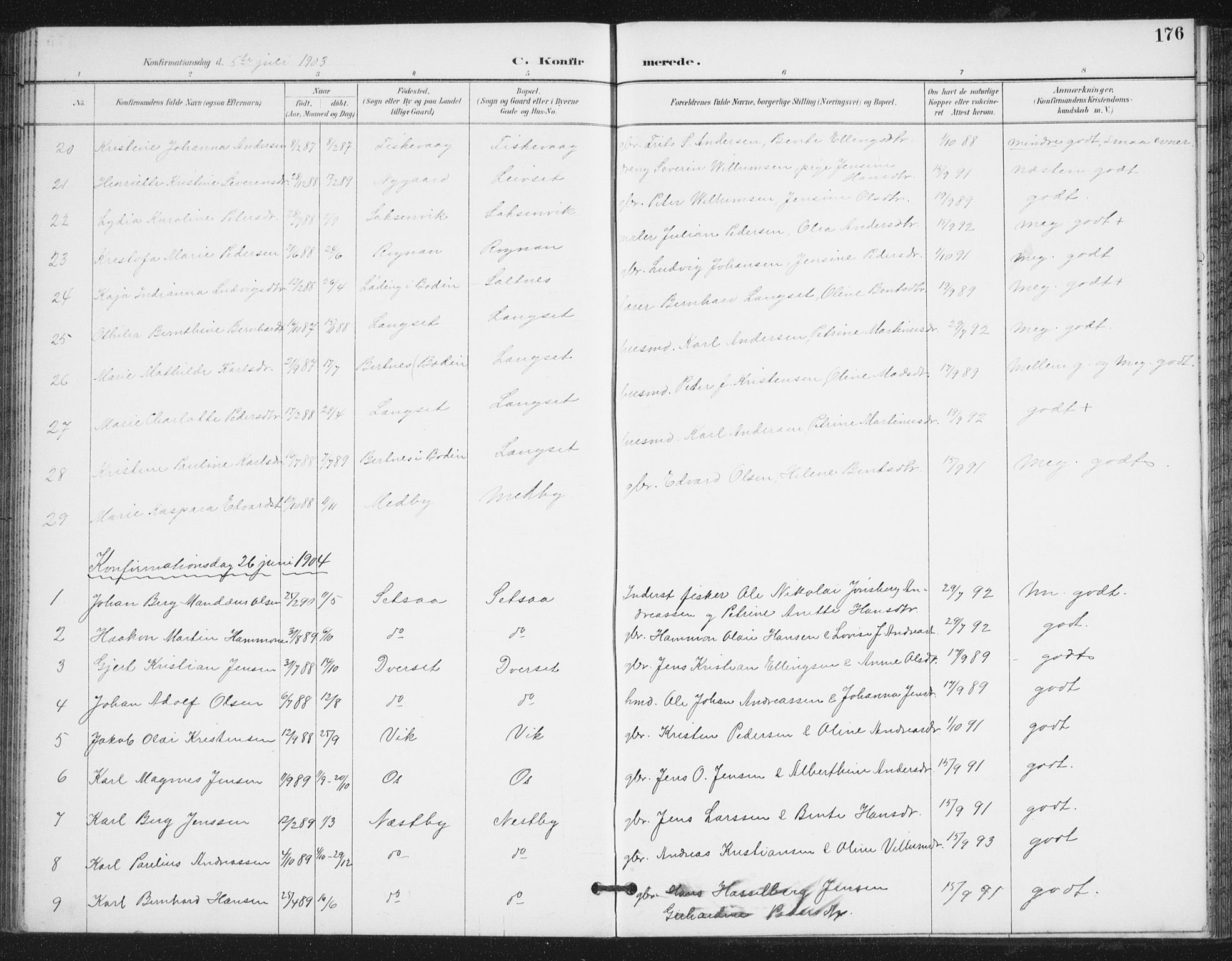 Ministerialprotokoller, klokkerbøker og fødselsregistre - Nordland, AV/SAT-A-1459/847/L0682: Parish register (copy) no. 847C10, 1889-1907, p. 176