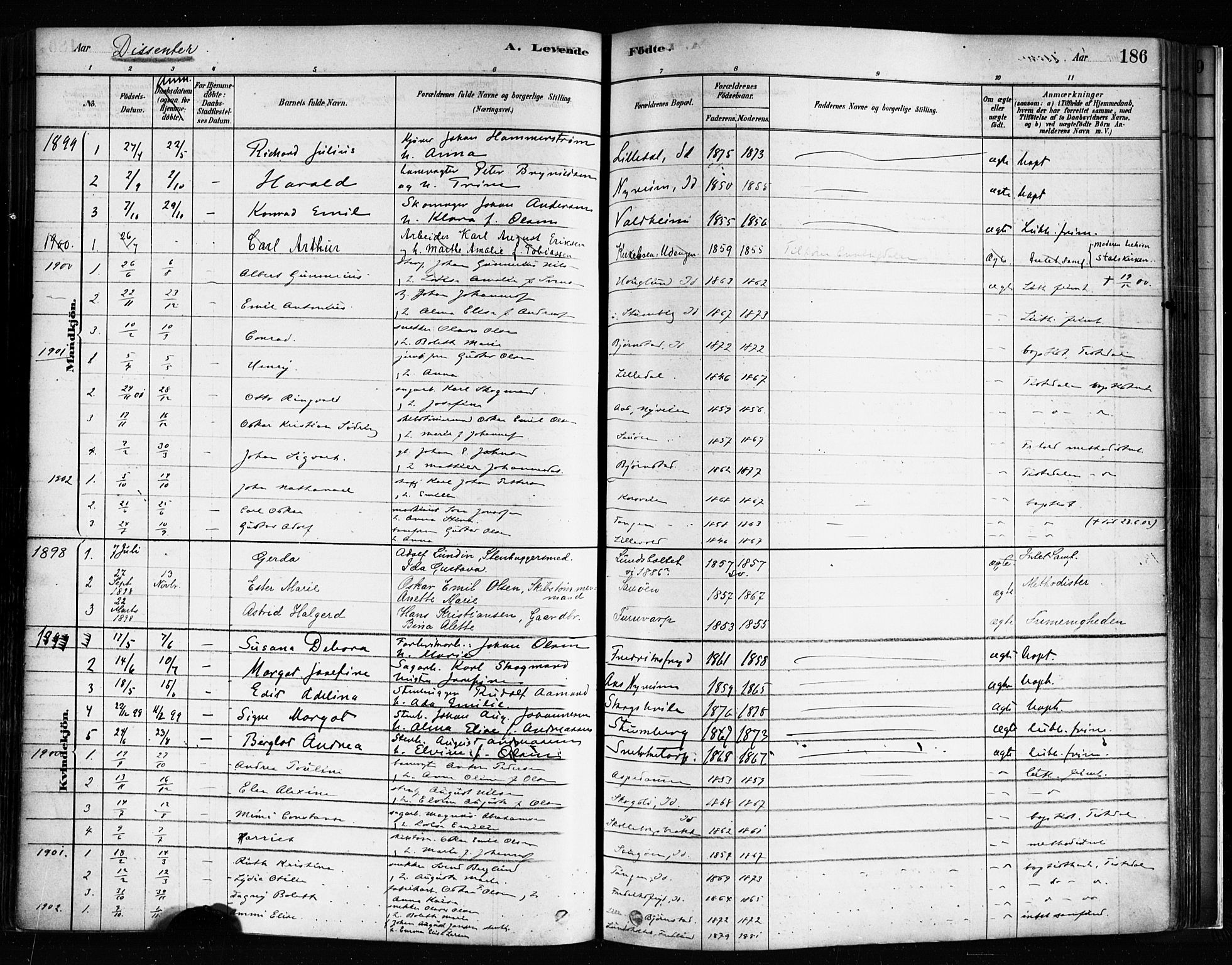 Idd prestekontor Kirkebøker, AV/SAO-A-10911/F/Fc/L0006a: Parish register (official) no. III 6A, 1878-1903, p. 186