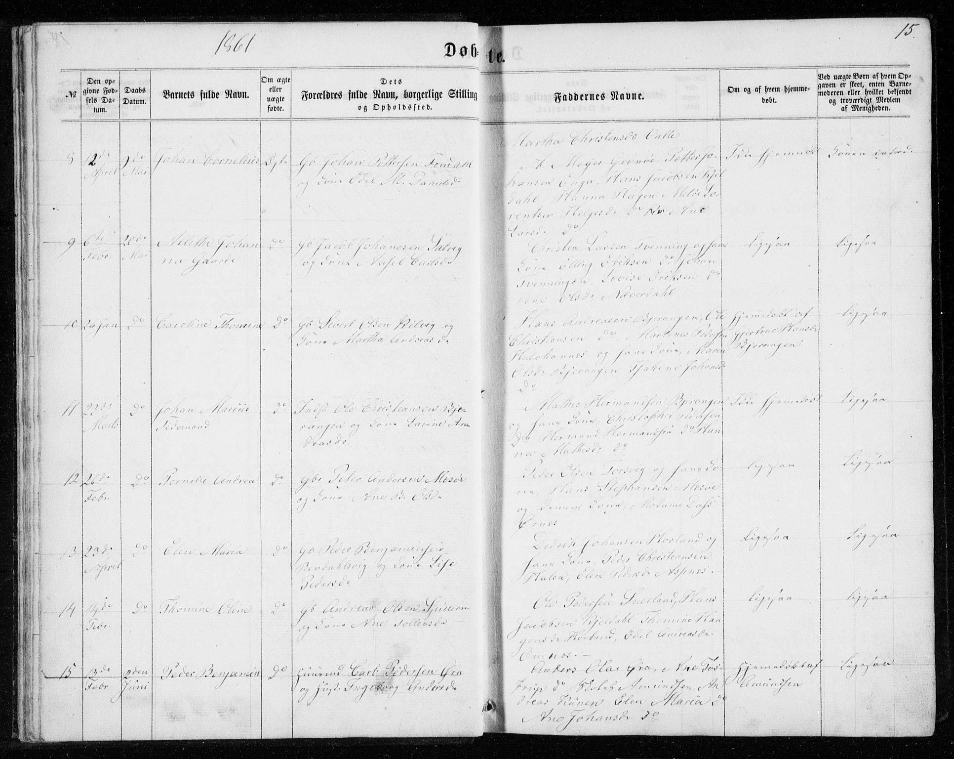 Ministerialprotokoller, klokkerbøker og fødselsregistre - Nordland, SAT/A-1459/843/L0634: Parish register (copy) no. 843C03, 1860-1884, p. 15