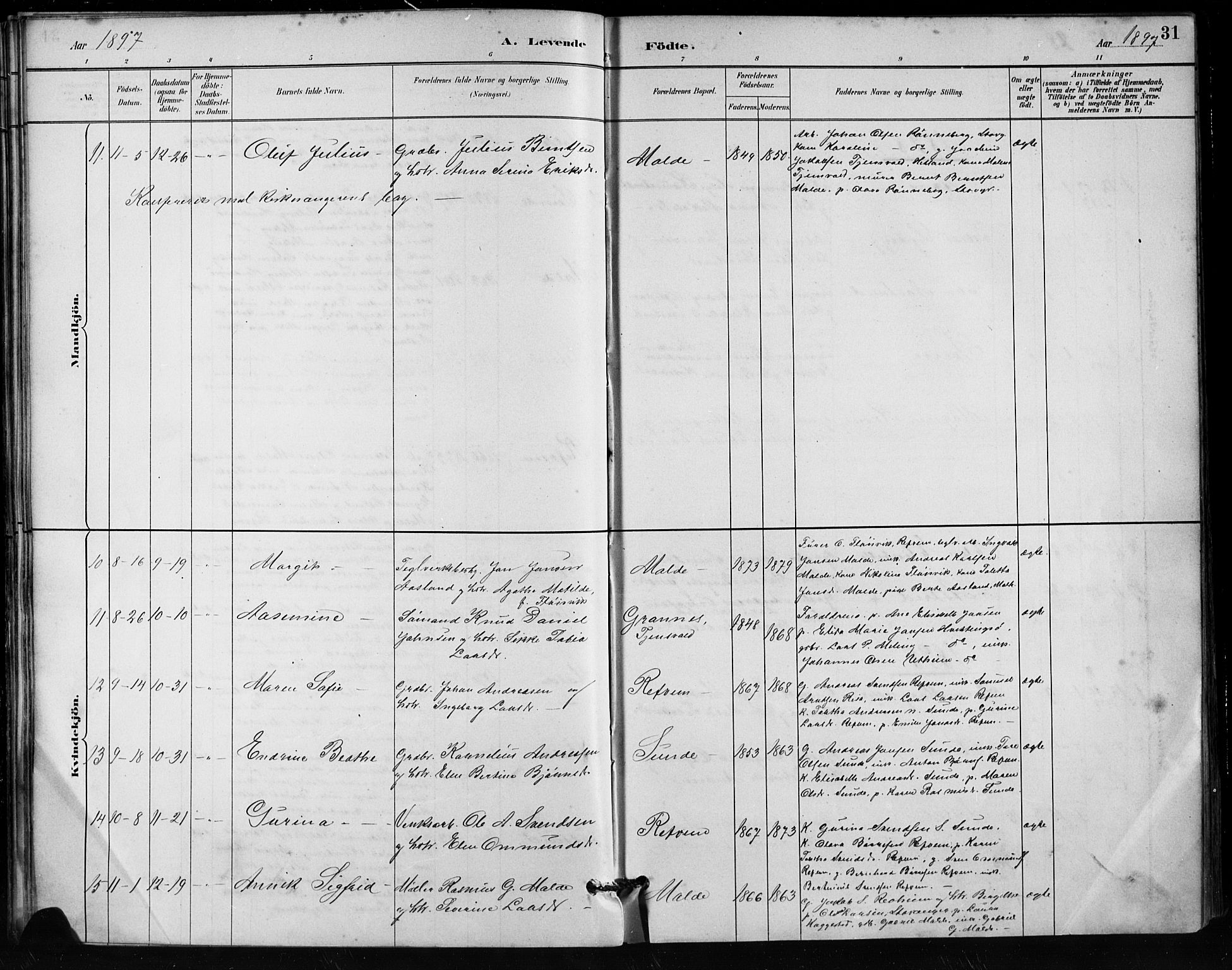 Håland sokneprestkontor, AV/SAST-A-101802/001/30BA/L0011: Parish register (official) no. A 10, 1883-1900, p. 31