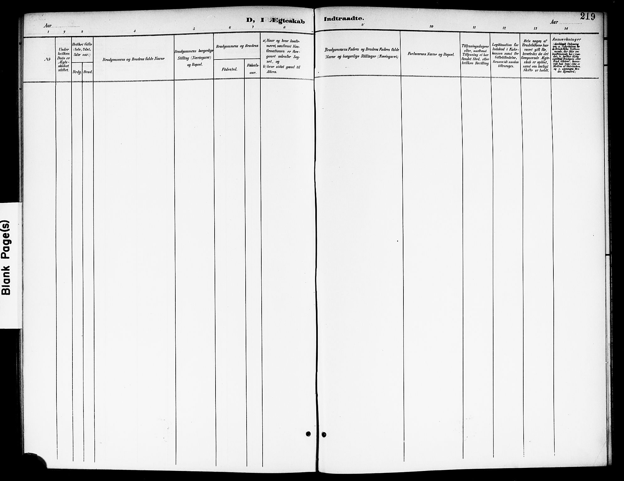 Nes prestekontor Kirkebøker, AV/SAO-A-10410/G/Ga/L0002: Parish register (copy) no. I 2, 1901-1912, p. 219