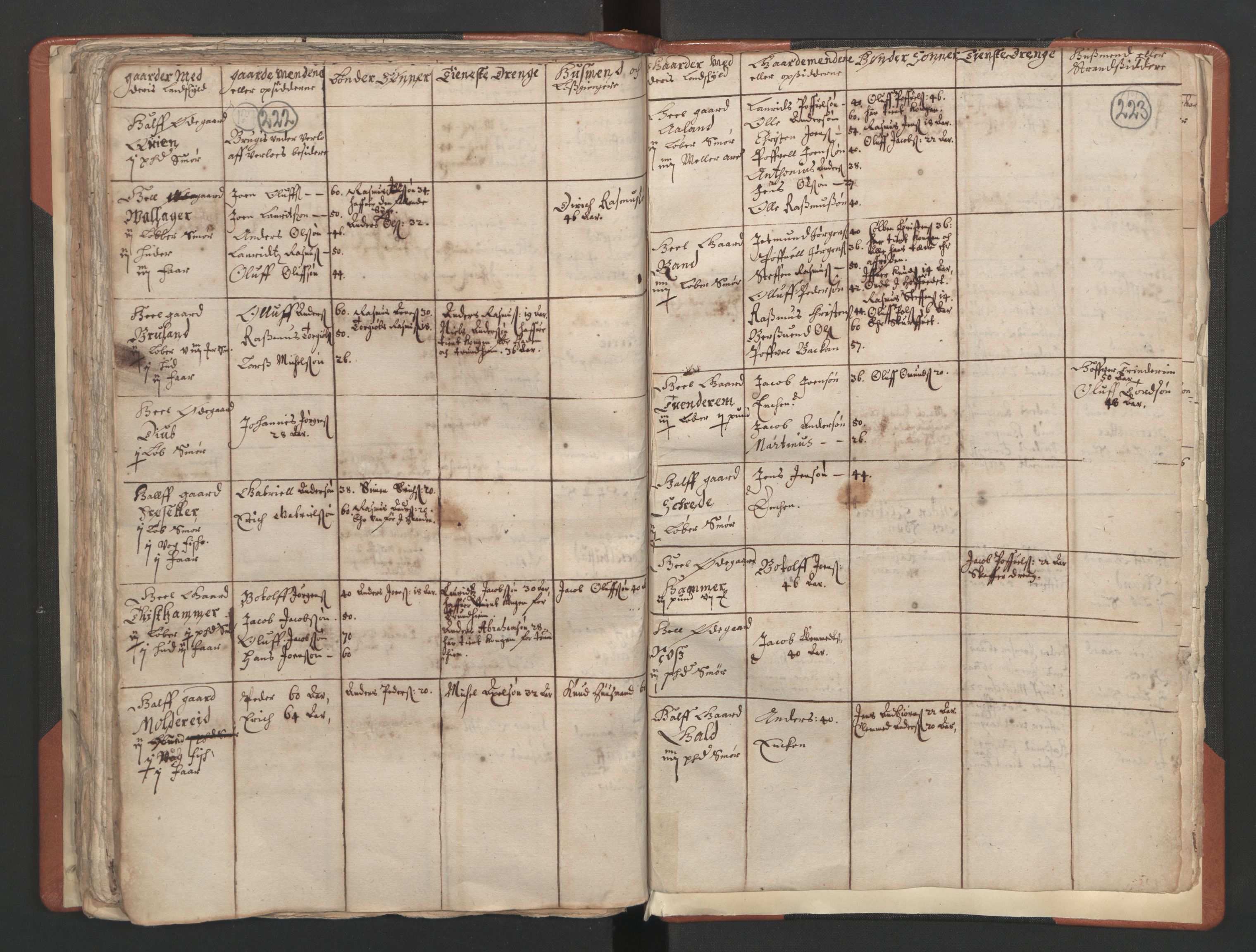 RA, Vicar's Census 1664-1666, no. 25: Nordfjord deanery, 1664-1666, p. 222-223