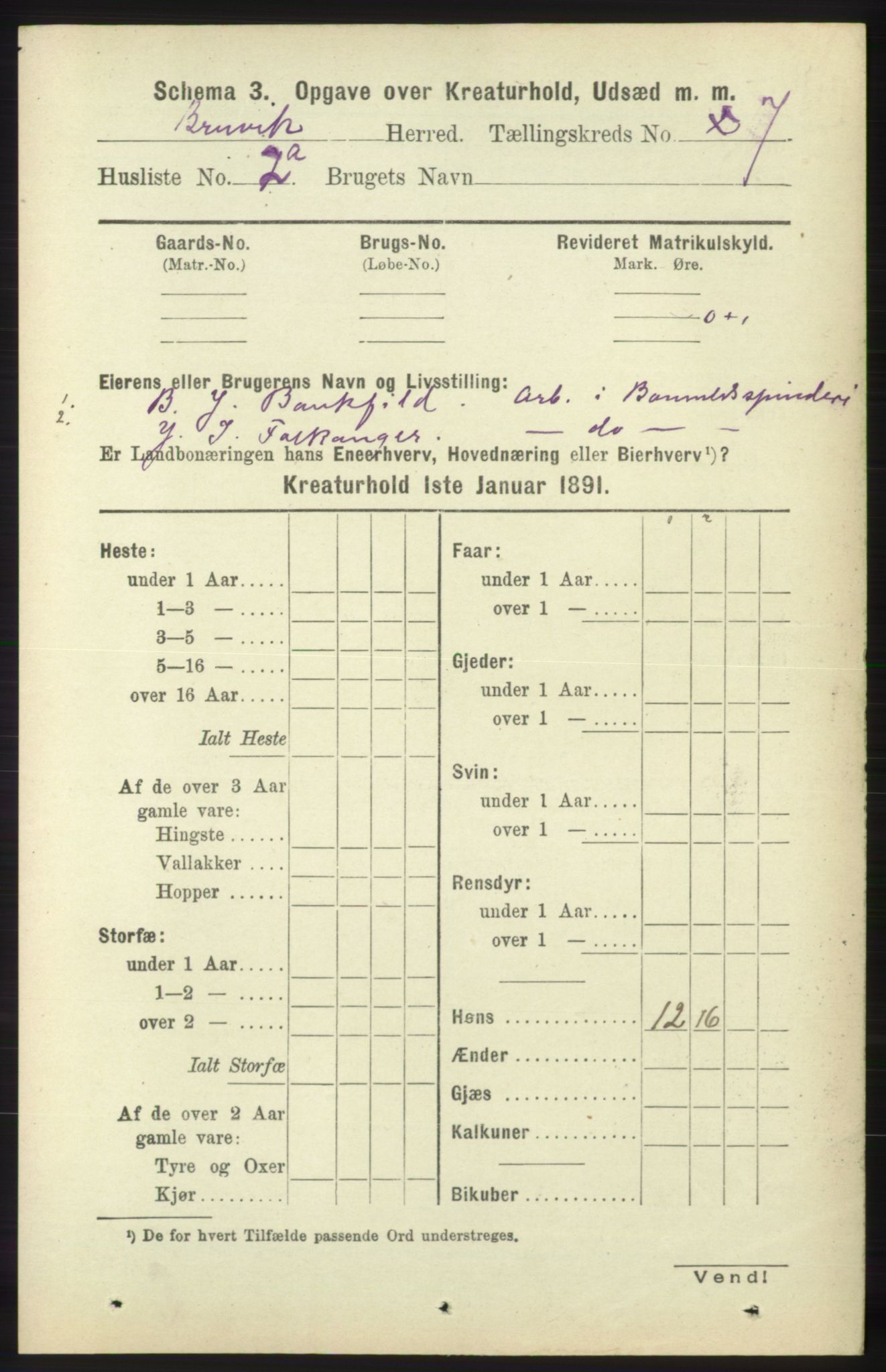 RA, 1891 census for 1251 Bruvik, 1891, p. 4631