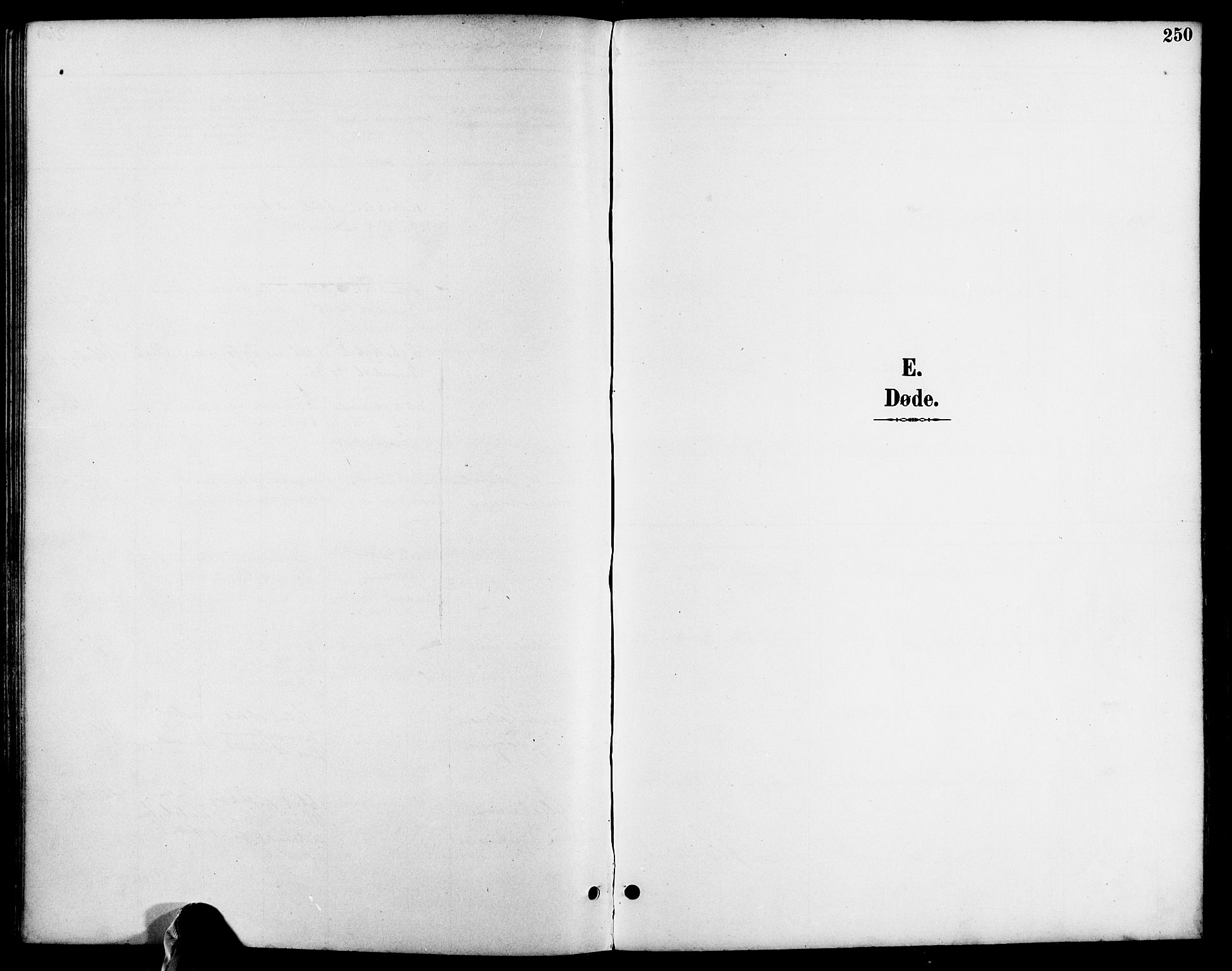Søndeled sokneprestkontor, AV/SAK-1111-0038/F/Fa/L0005: Parish register (official) no. A 5, 1889-1899, p. 250