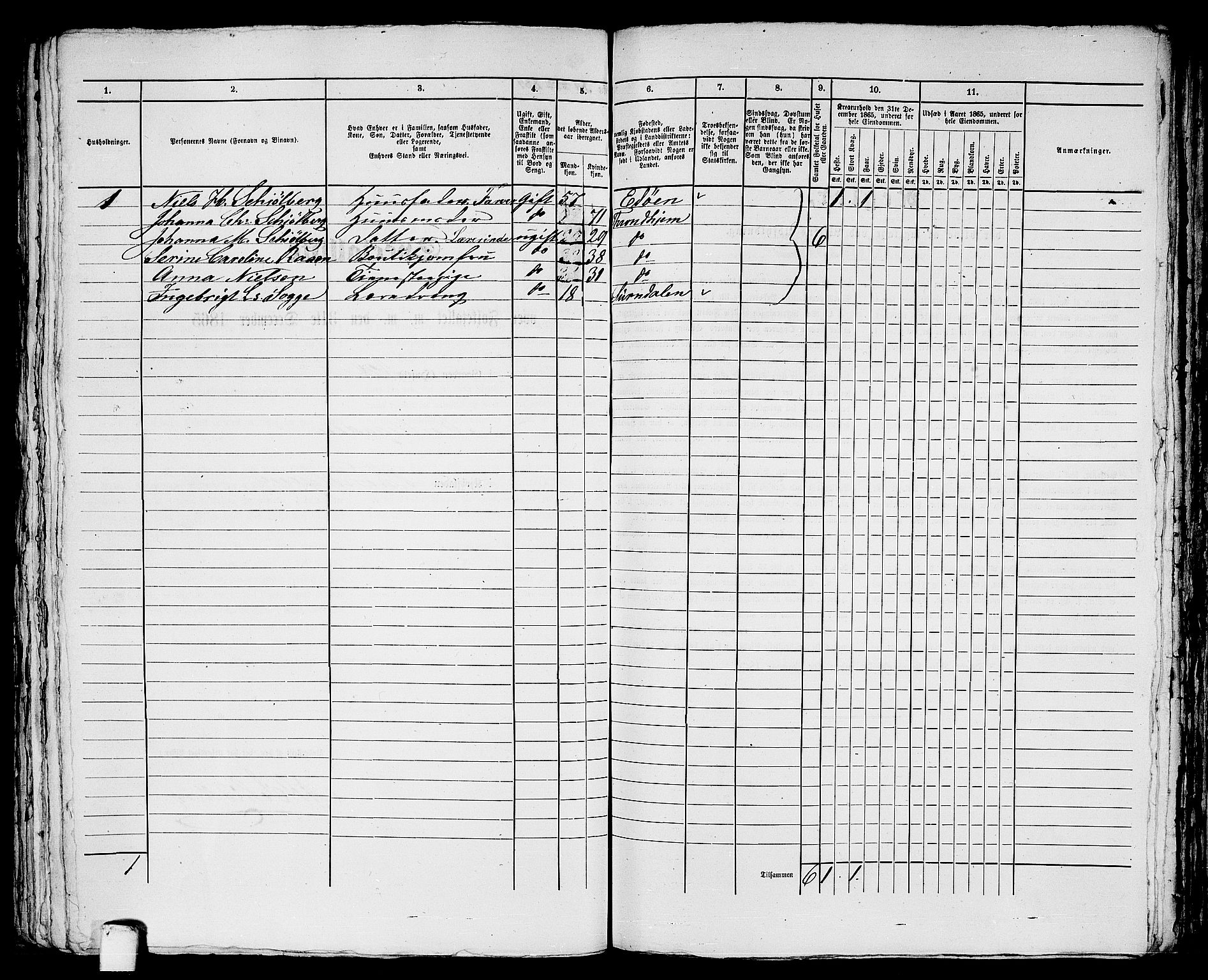 RA, 1865 census for Trondheim, 1865, p. 1852