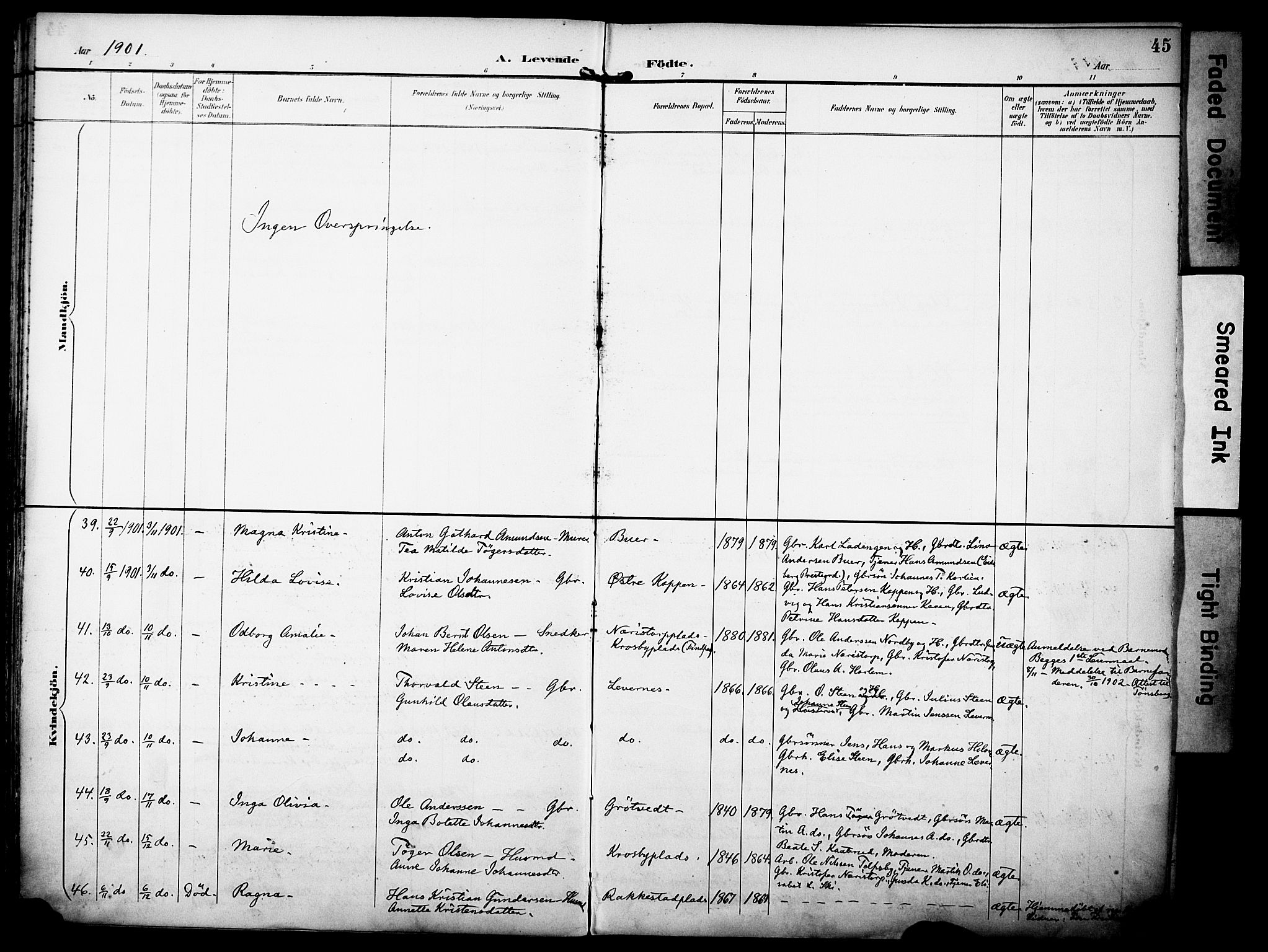 Rakkestad prestekontor Kirkebøker, AV/SAO-A-2008/F/Fa/L0013: Parish register (official) no. I 13, 1894-1908, p. 45