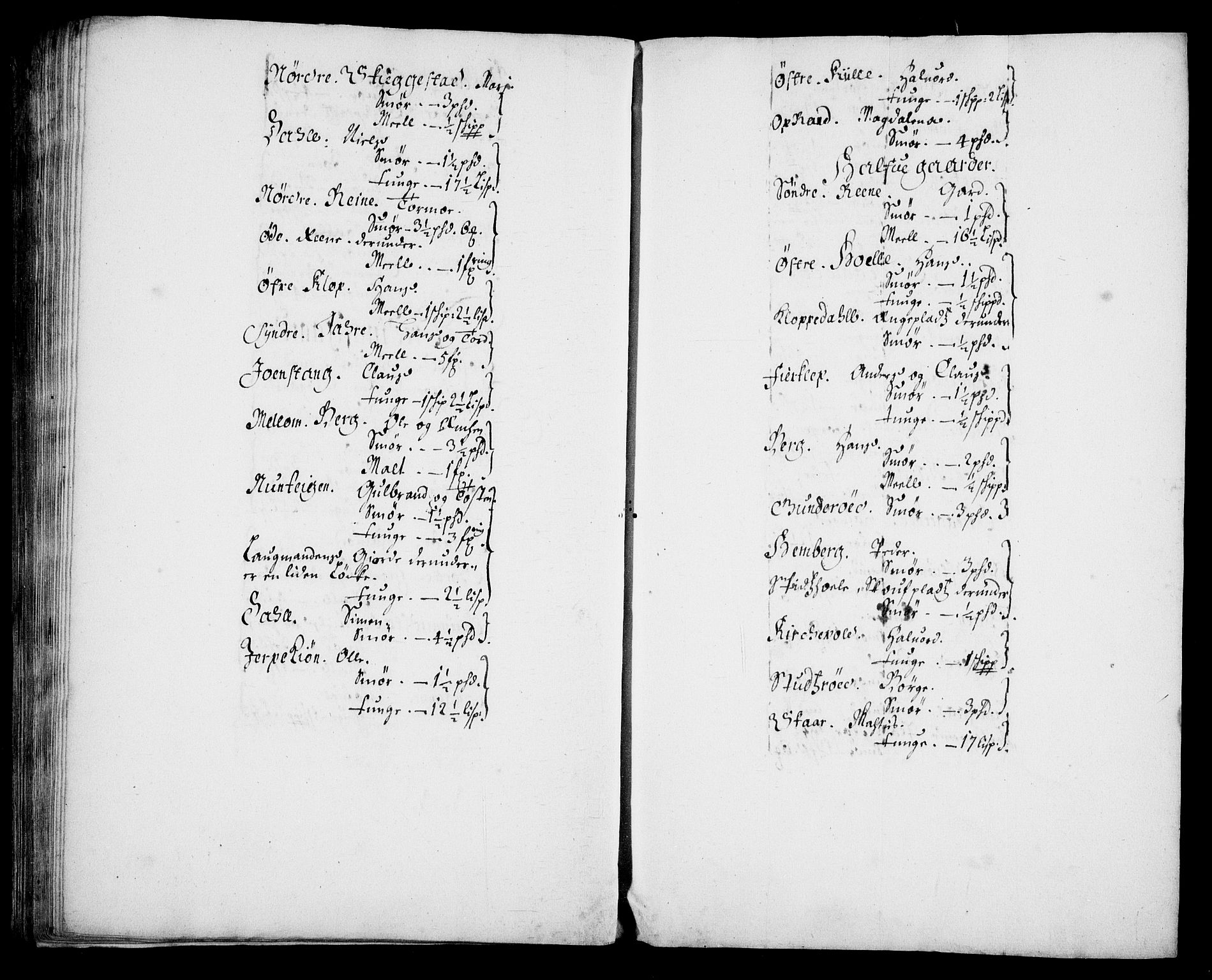 Rentekammeret inntil 1814, Realistisk ordnet avdeling, AV/RA-EA-4070/N/Na/L0003/0003: [XI h]: Tønsbergs amt og Larvik grevskaps jordebøker: / (C) Smør- og kjøttskatt, inkludert Griffenfelds gods i Larvik grevskap, 1674