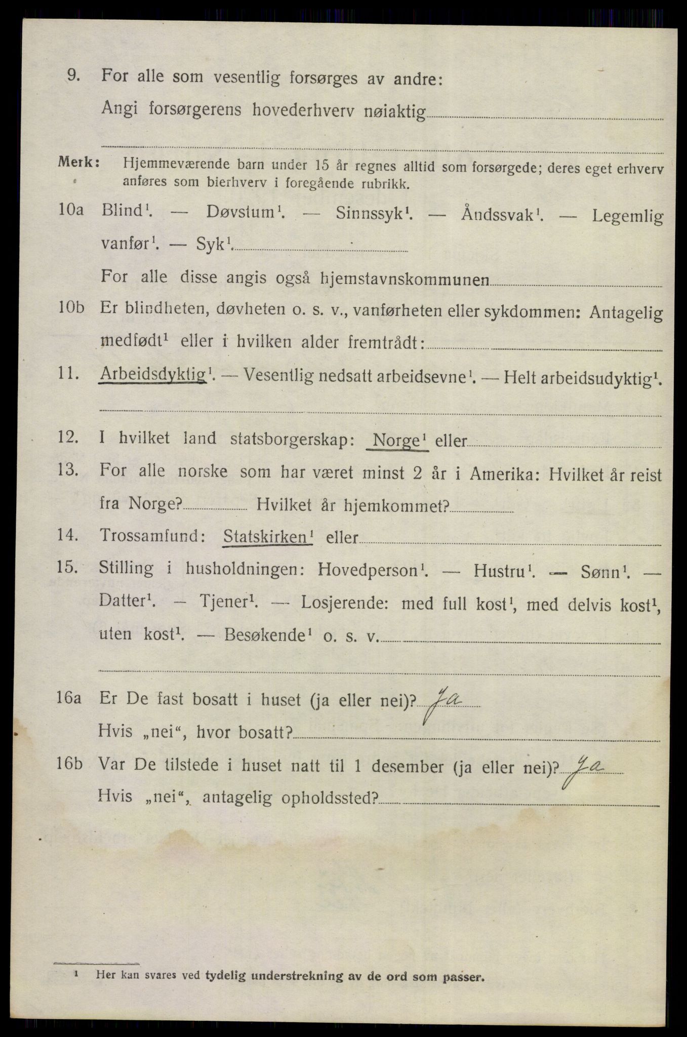 SAKO, 1920 census for Nes (Buskerud), 1920, p. 5015