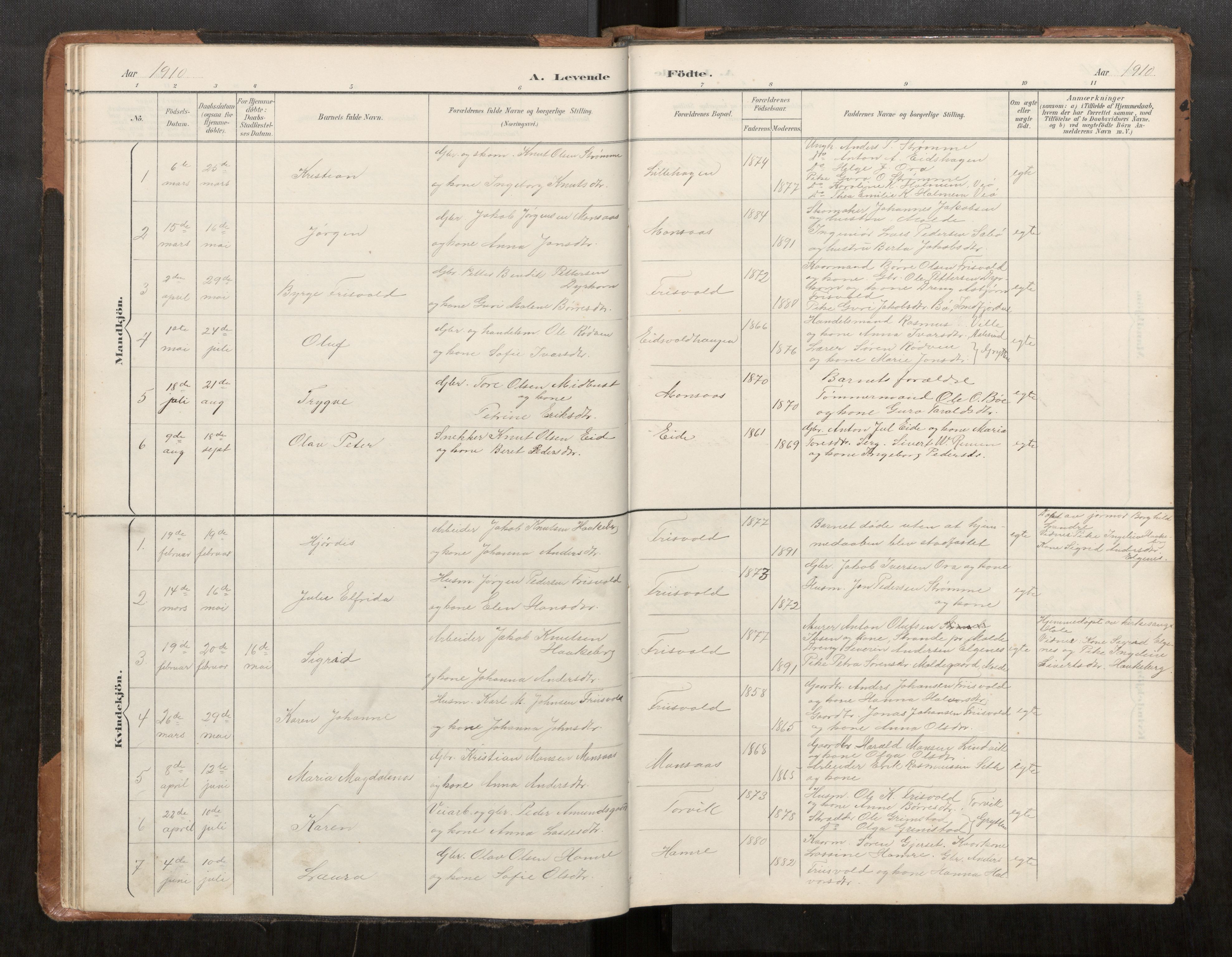 Ministerialprotokoller, klokkerbøker og fødselsregistre - Møre og Romsdal, AV/SAT-A-1454/542/L0561: Parish register (copy) no. 542C03, 1893-1931