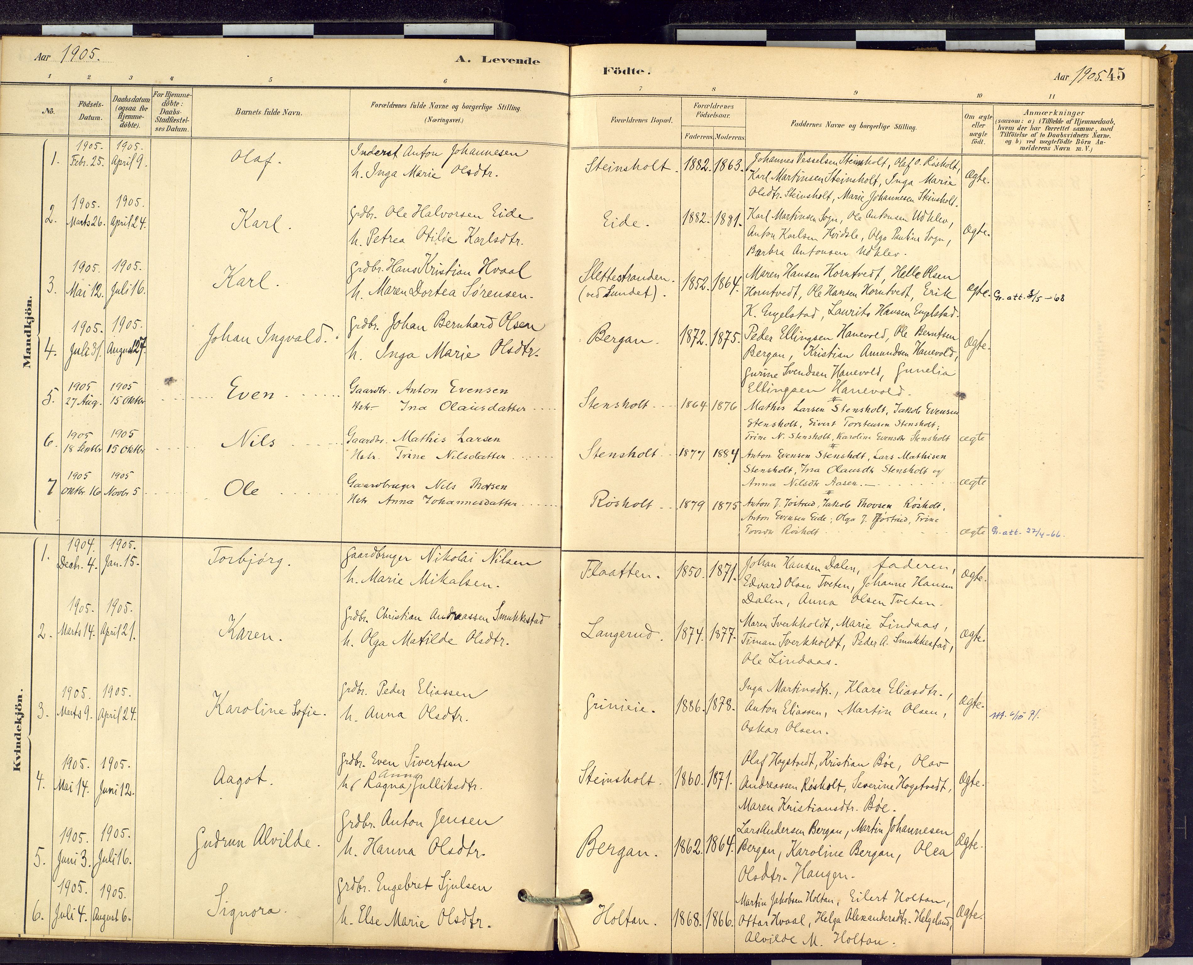 Lardal kirkebøker, SAKO/A-350/F/Fd/L0001: Parish register (official) no. IV 1, 1881-1907, p. 45