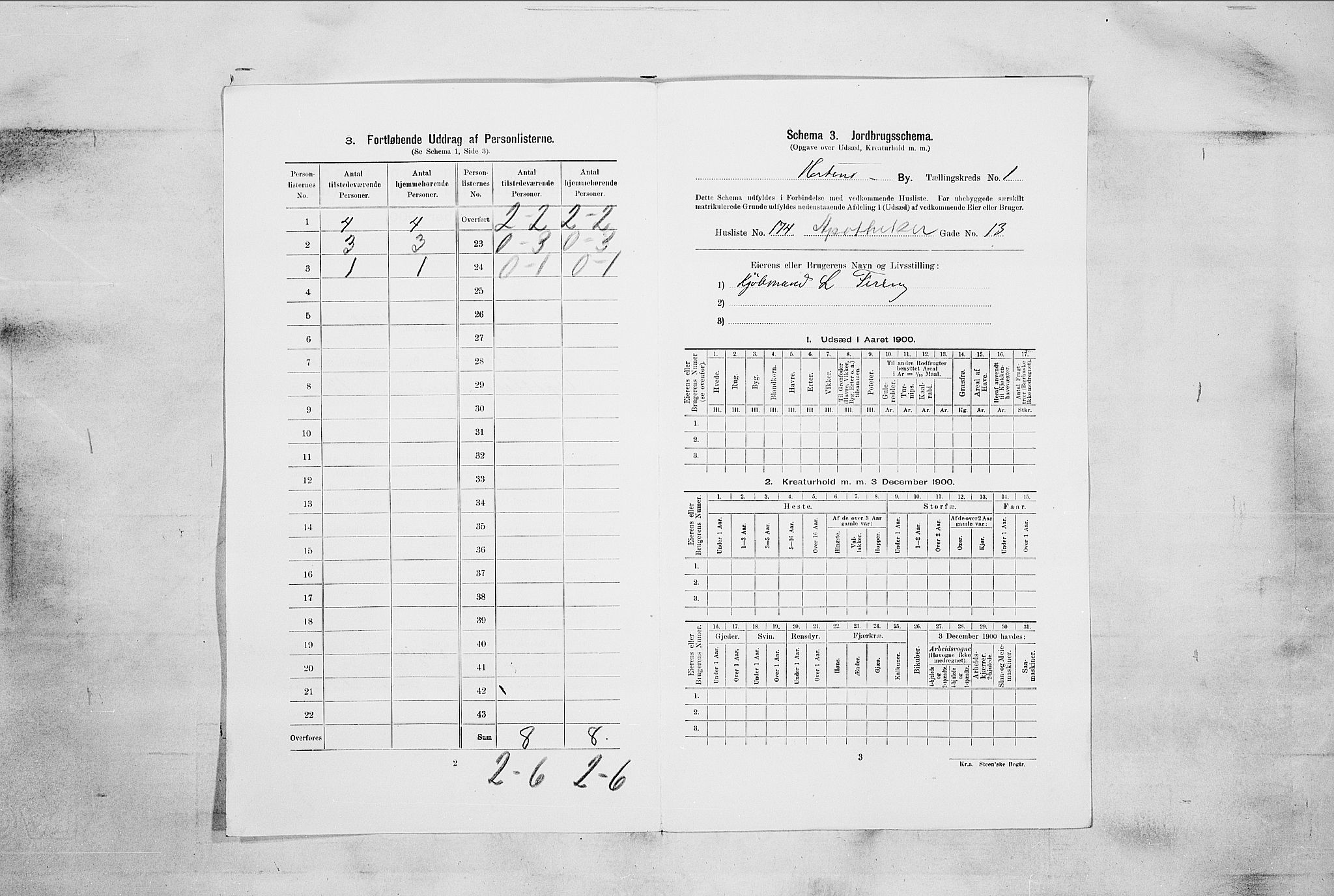 RA, 1900 census for Horten, 1900, p. 1111