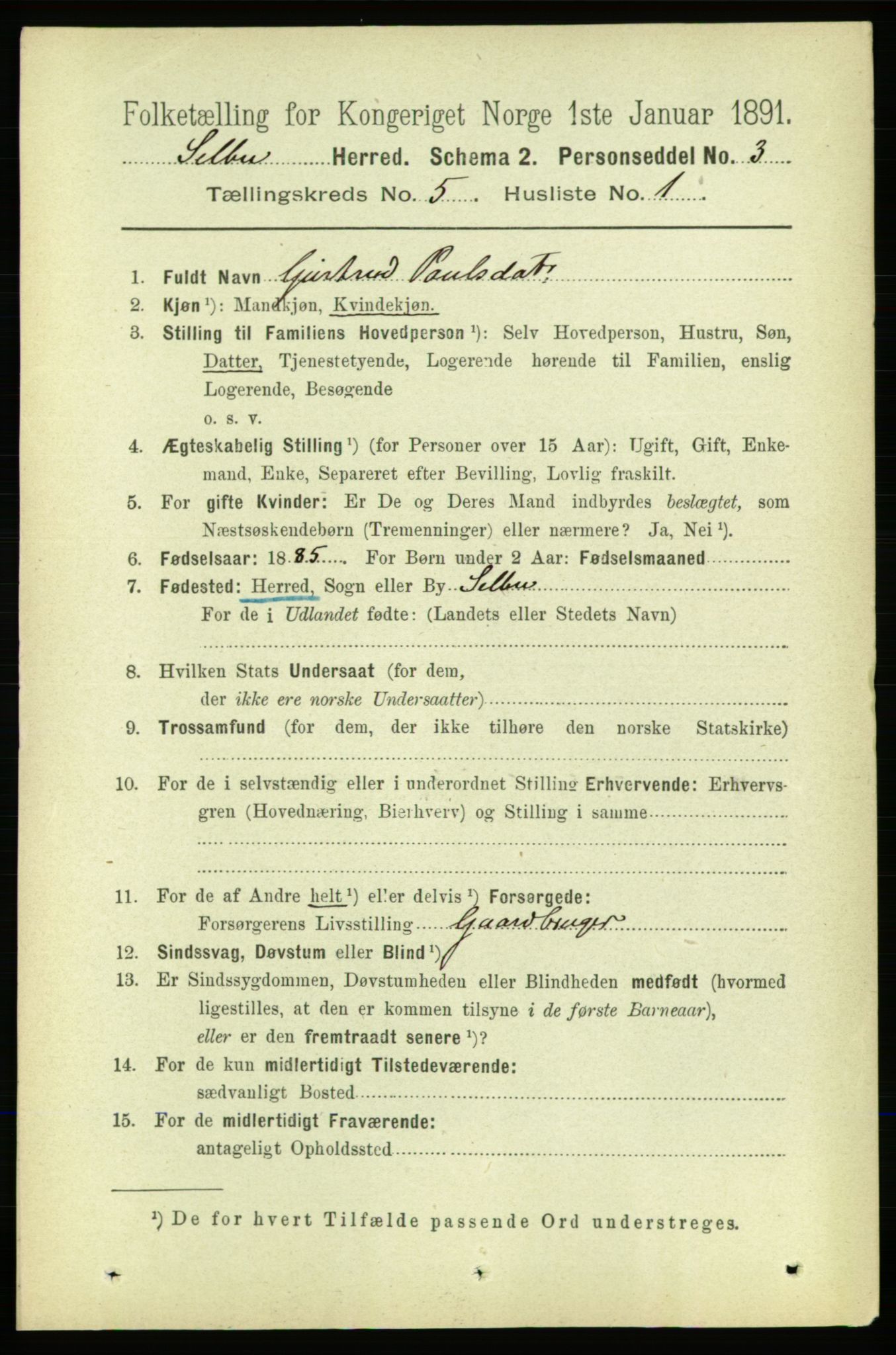 RA, 1891 census for 1664 Selbu, 1891, p. 1709