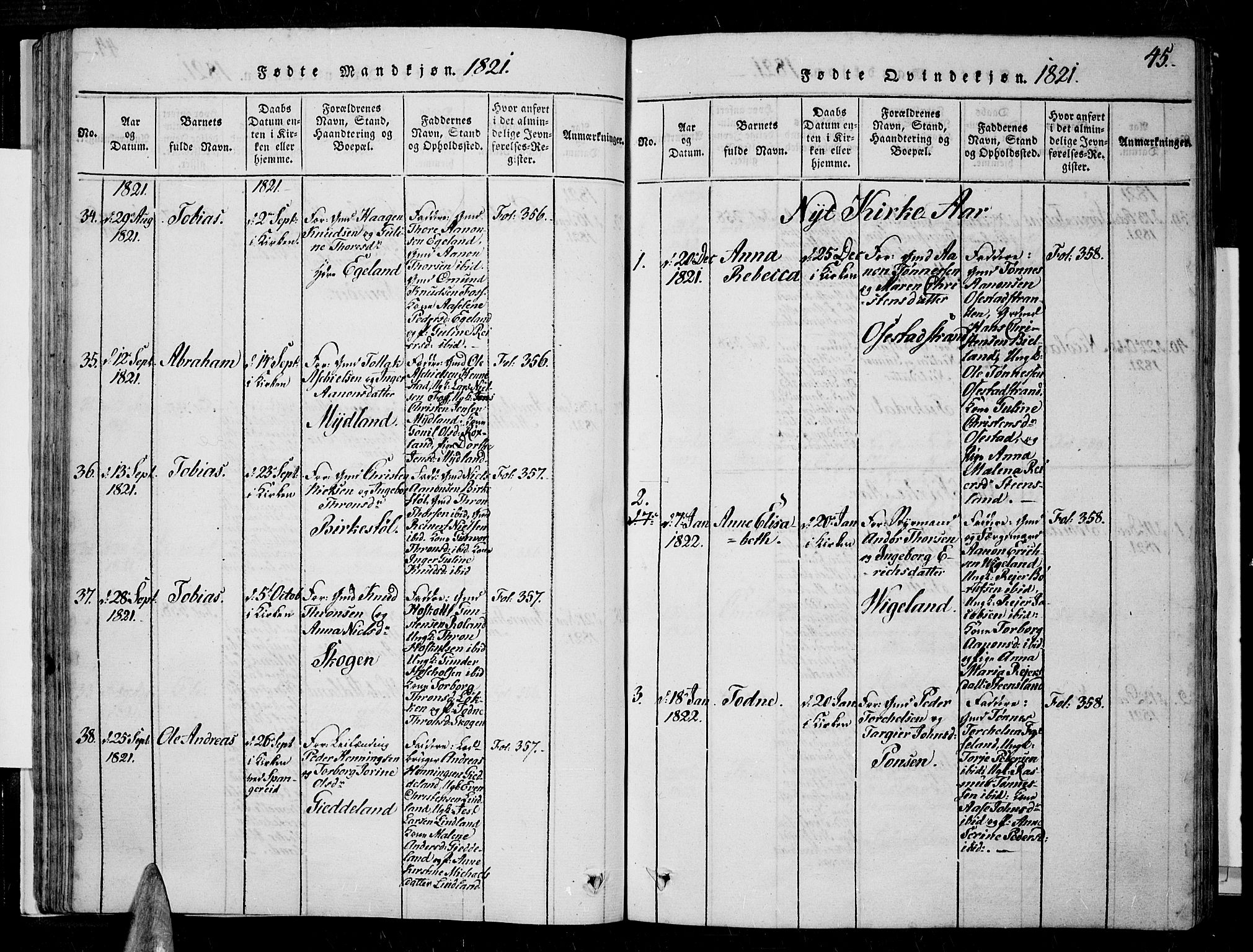 Sør-Audnedal sokneprestkontor, AV/SAK-1111-0039/F/Fa/Fab/L0005: Parish register (official) no. A 5, 1816-1830, p. 45