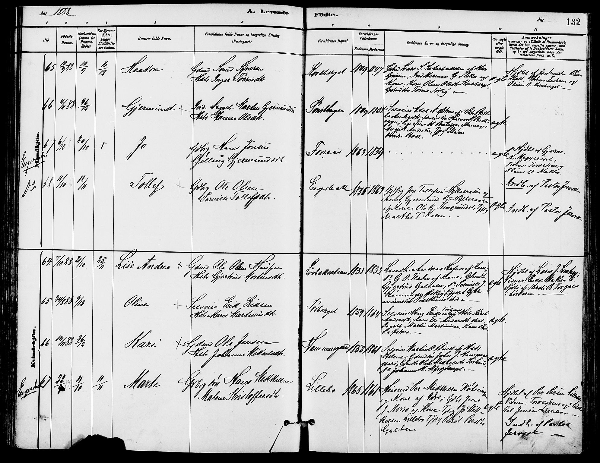 Trysil prestekontor, SAH/PREST-046/H/Ha/Haa/L0008: Parish register (official) no. 8, 1881-1897, p. 132