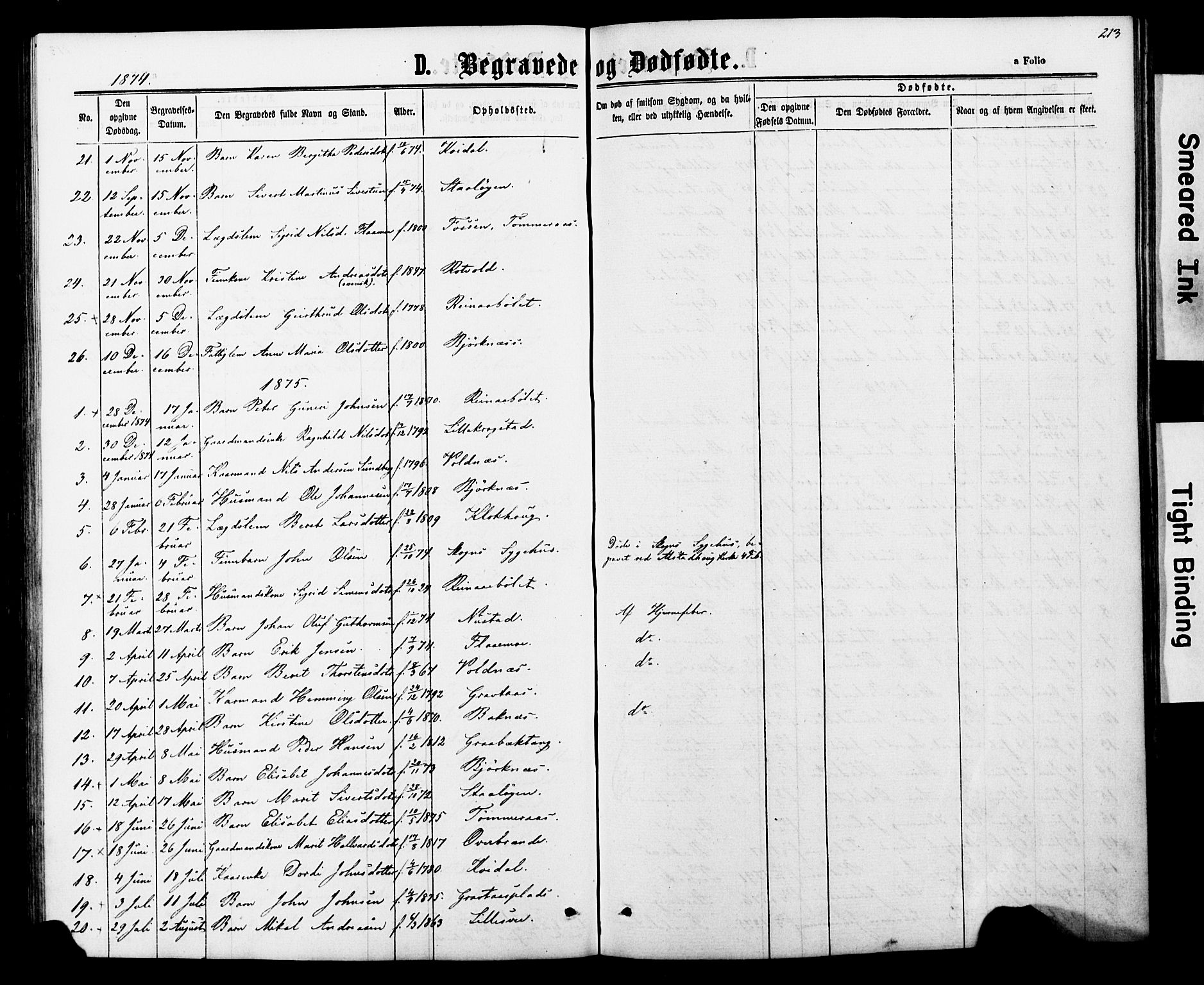 Ministerialprotokoller, klokkerbøker og fødselsregistre - Nord-Trøndelag, SAT/A-1458/706/L0049: Parish register (copy) no. 706C01, 1864-1895, p. 213