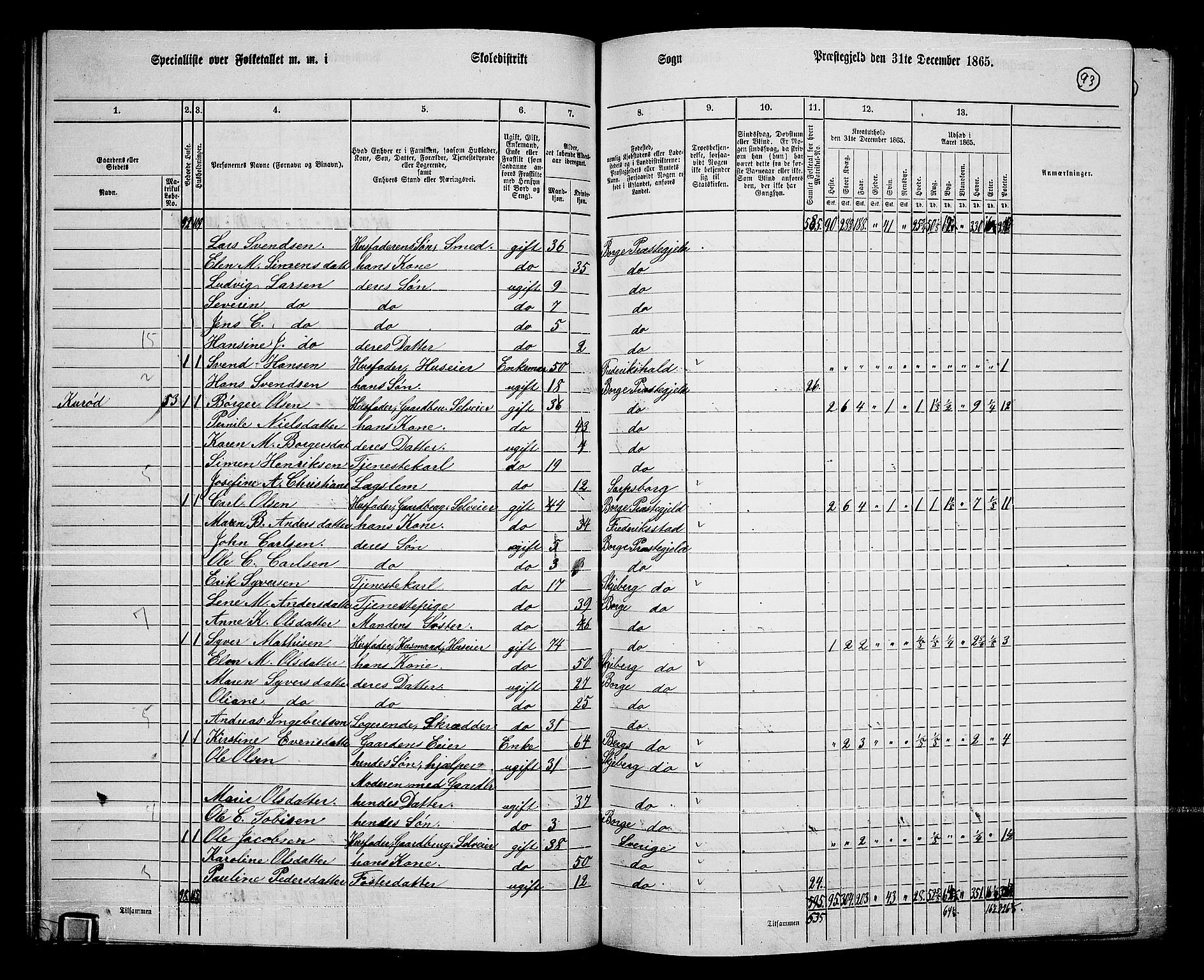 RA, 1865 census for Borge, 1865, p. 88