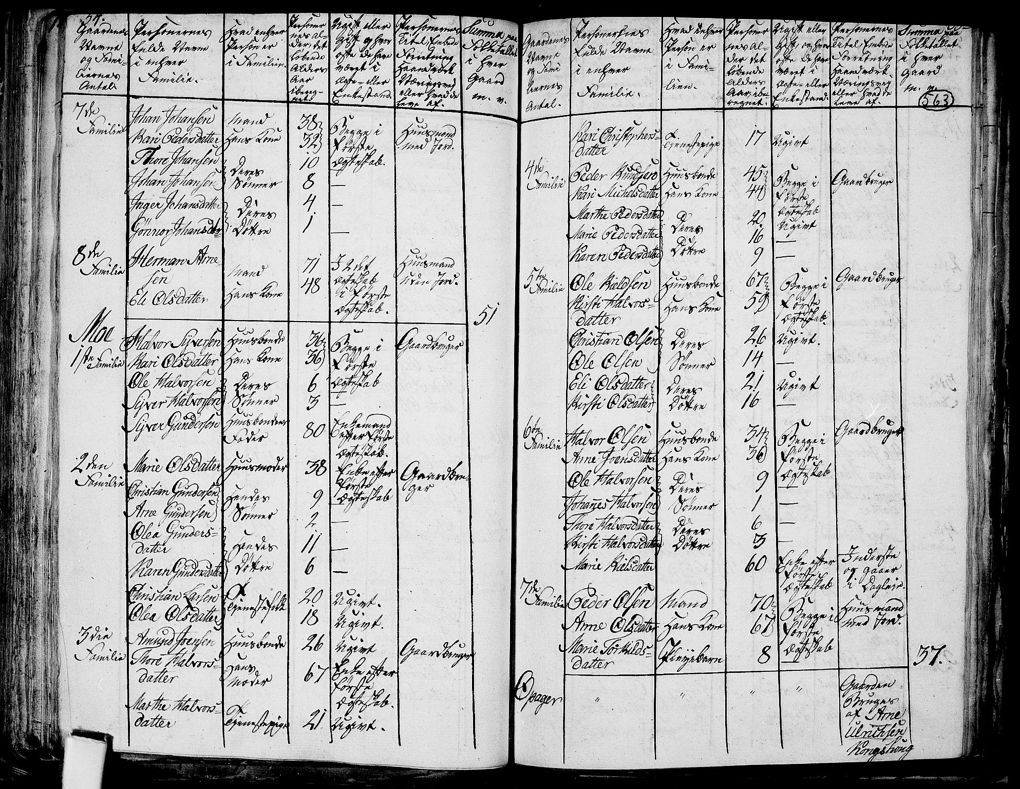 RA, 1801 census for 0423P Grue, 1801, p. 562b-563a