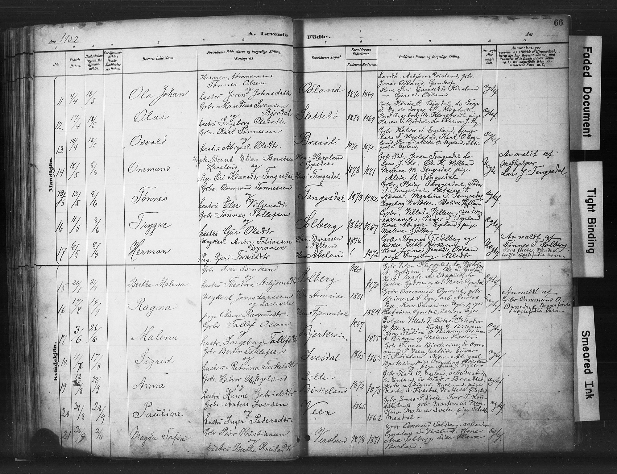 Helleland sokneprestkontor, AV/SAST-A-101810: Parish register (copy) no. B 5, 1887-1908, p. 66
