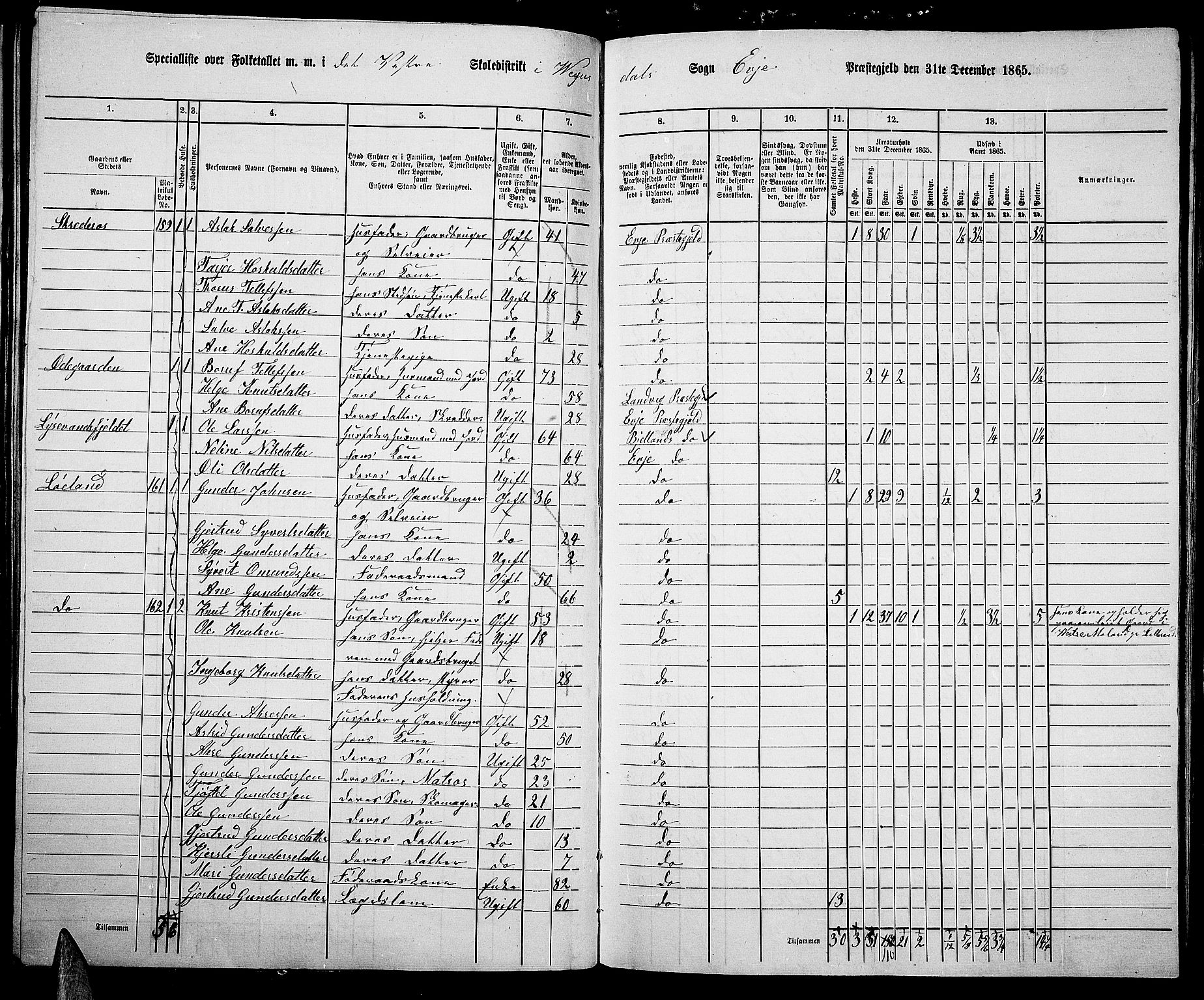 RA, 1865 census for Evje, 1865, p. 65