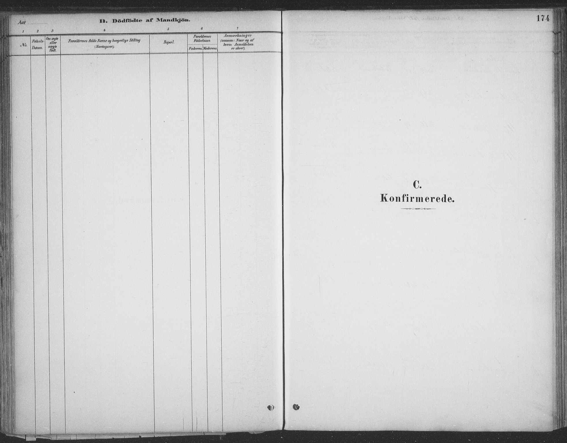 Vadsø sokneprestkontor, AV/SATØ-S-1325/H/Ha/L0009kirke: Parish register (official) no. 9, 1881-1917, p. 174