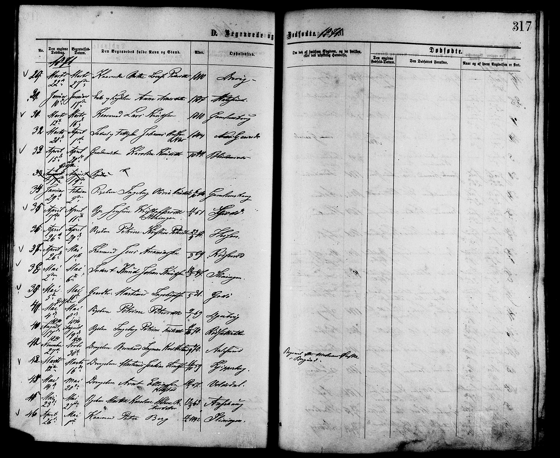 Ministerialprotokoller, klokkerbøker og fødselsregistre - Møre og Romsdal, AV/SAT-A-1454/528/L0399: Parish register (official) no. 528A10, 1864-1879, p. 317