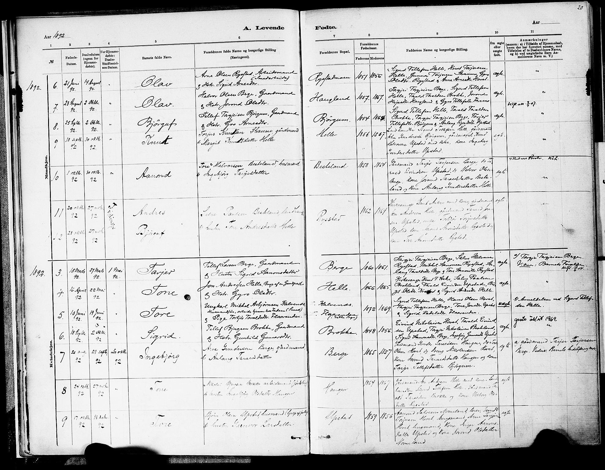 Valle sokneprestkontor, AV/SAK-1111-0044/F/Fa/Fab/L0001: Parish register (official) no. A 1, 1882-1910, p. 20