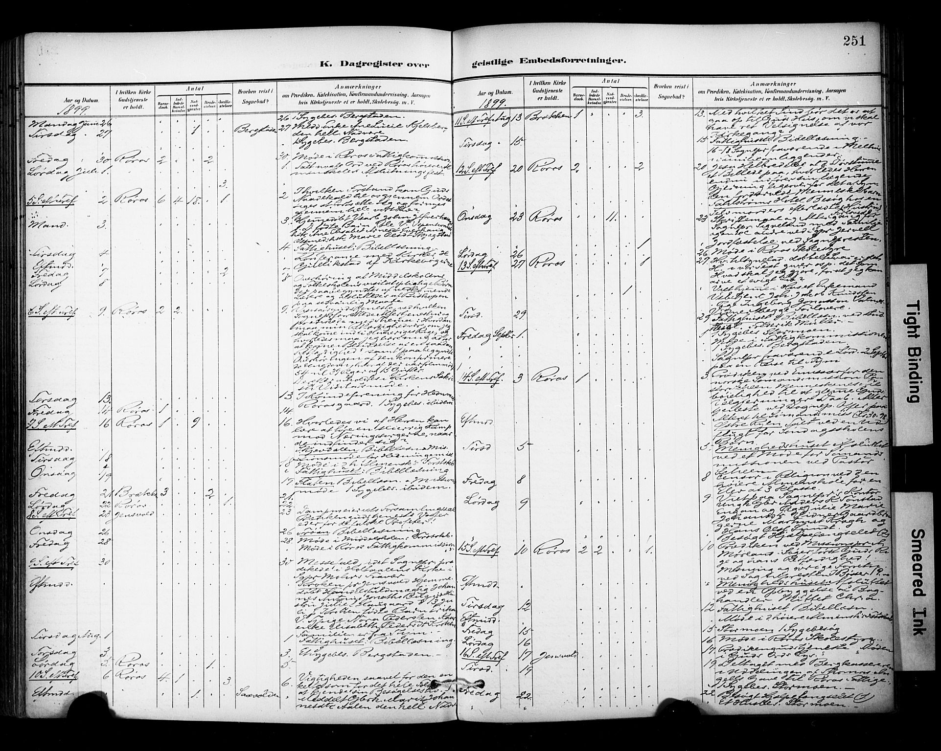 Ministerialprotokoller, klokkerbøker og fødselsregistre - Sør-Trøndelag, AV/SAT-A-1456/681/L0936: Parish register (official) no. 681A14, 1899-1908, p. 251