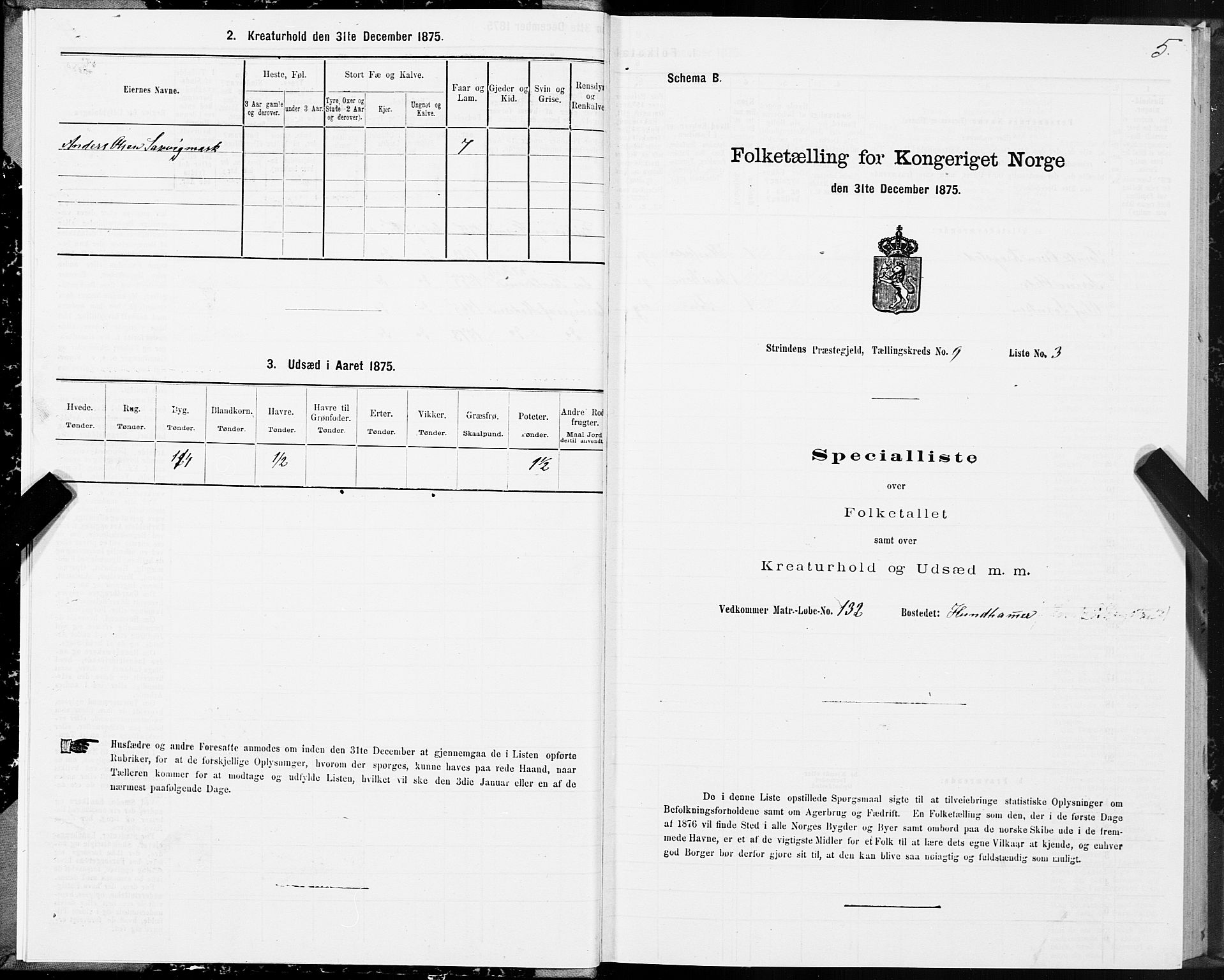 SAT, 1875 census for 1660P Strinda, 1875, p. 5005