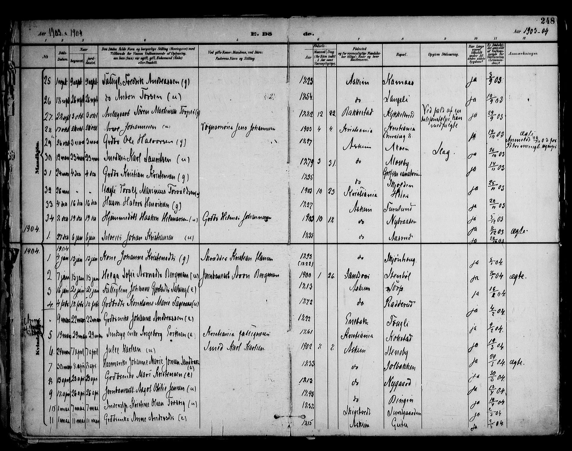 Askim prestekontor Kirkebøker, AV/SAO-A-10900/F/Fa/L0008: Parish register (official) no. 8, 1898-1912, p. 248