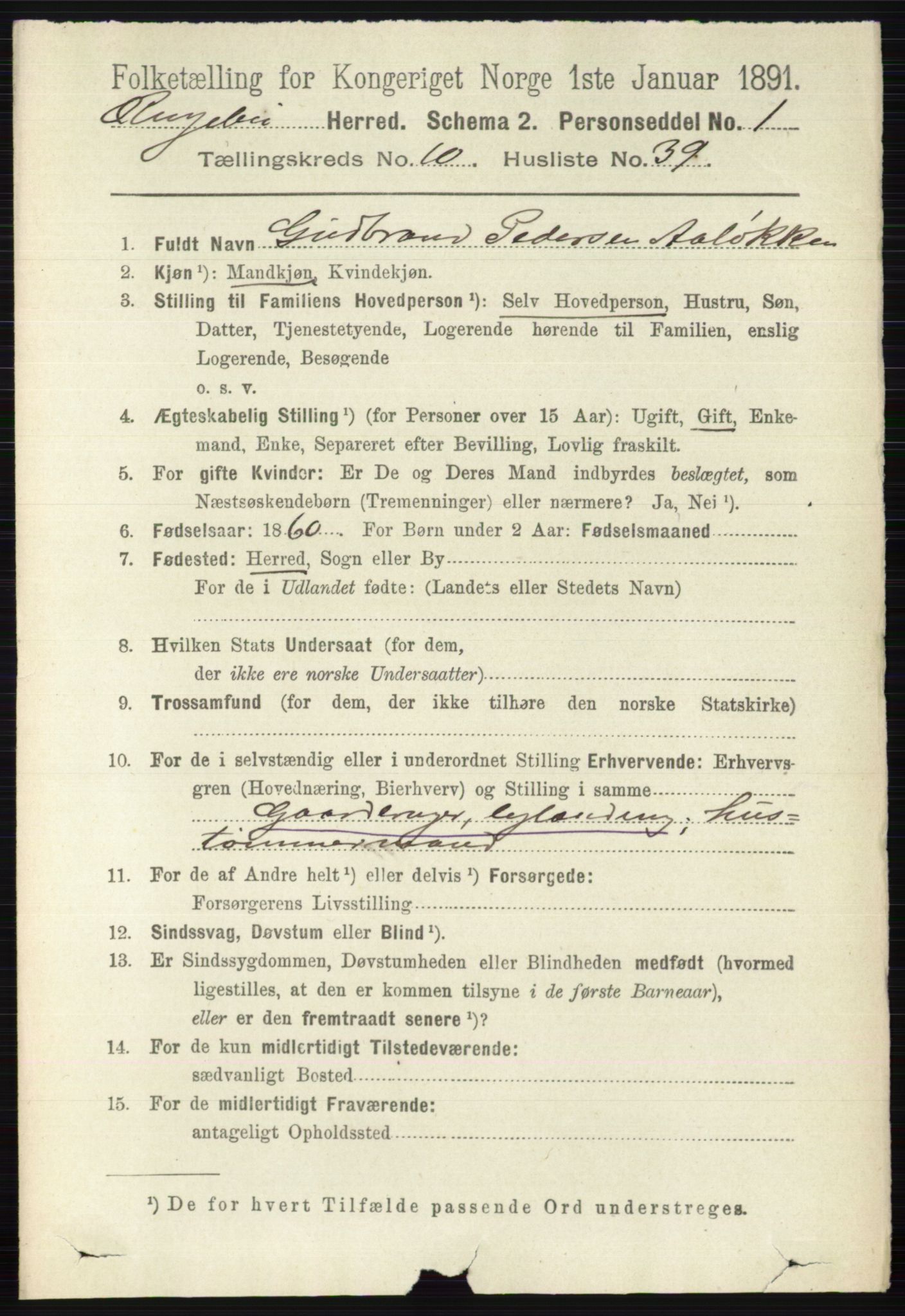 RA, 1891 census for 0520 Ringebu, 1891, p. 5101