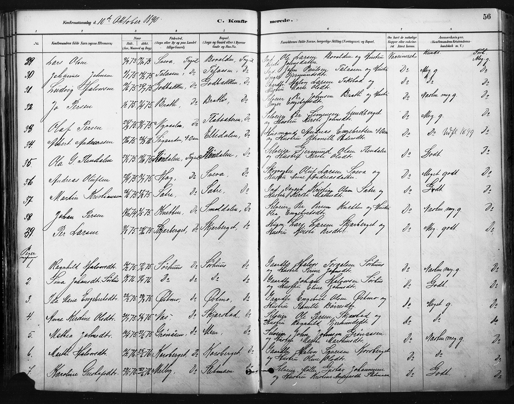 Trysil prestekontor, AV/SAH-PREST-046/H/Ha/Haa/L0009: Parish register (official) no. 9, 1881-1897, p. 56