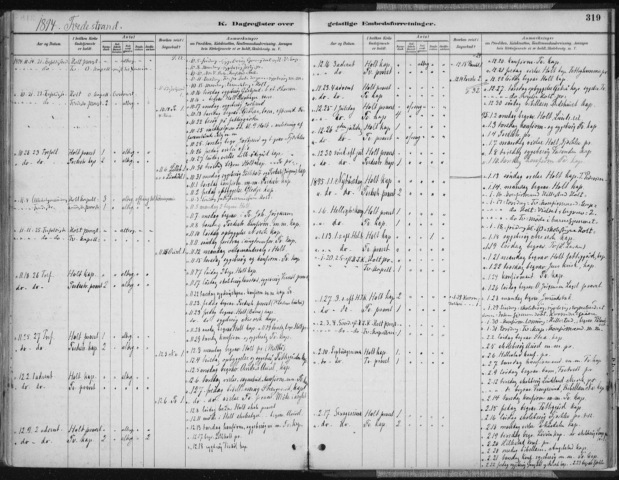Tvedestrand sokneprestkontor, SAK/1111-0042/F/Fa/L0001: Parish register (official) no. A 1, 1885-1916, p. 319