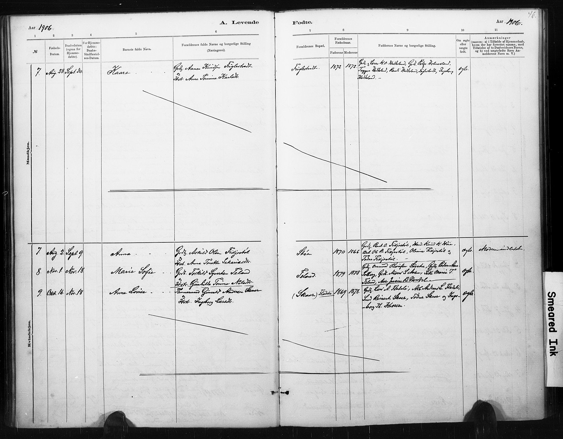 Holum sokneprestkontor, AV/SAK-1111-0022/F/Fa/Fac/L0004: Parish register (official) no. A 4, 1884-1907, p. 46