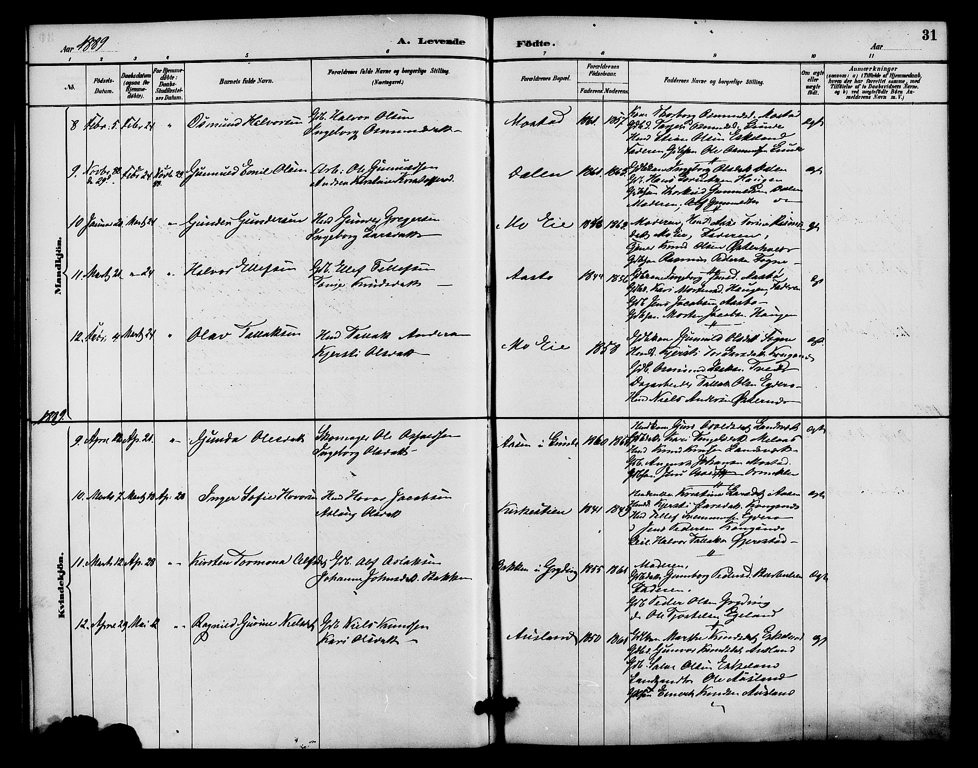 Gjerstad sokneprestkontor, SAK/1111-0014/F/Fa/Faa/L0009: Parish register (official) no. A 9, 1885-1890, p. 31