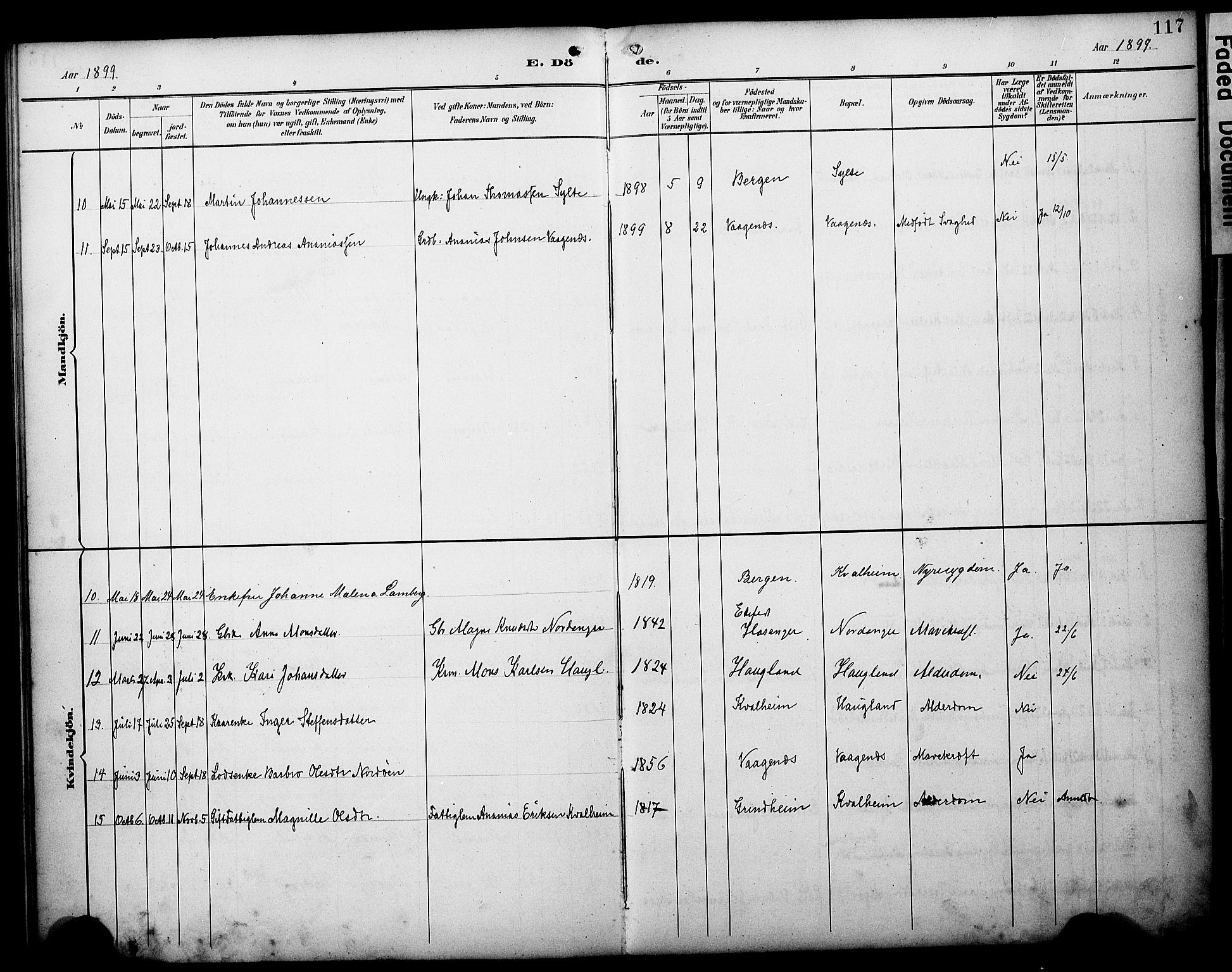 Manger sokneprestembete, AV/SAB-A-76801/H/Haa: Parish register (official) no. C 2, 1891-1902, p. 117