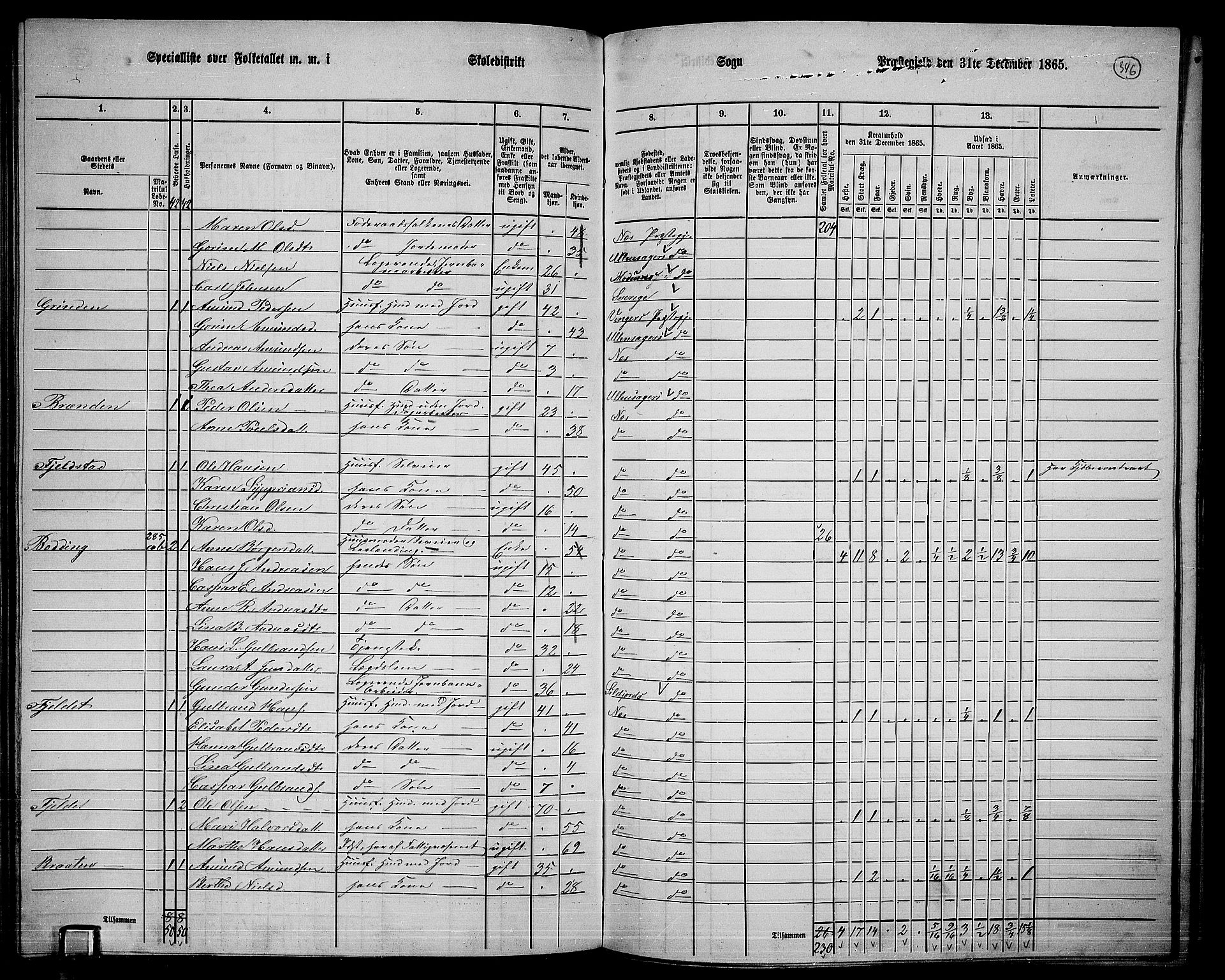 RA, 1865 census for Nes, 1865, p. 316