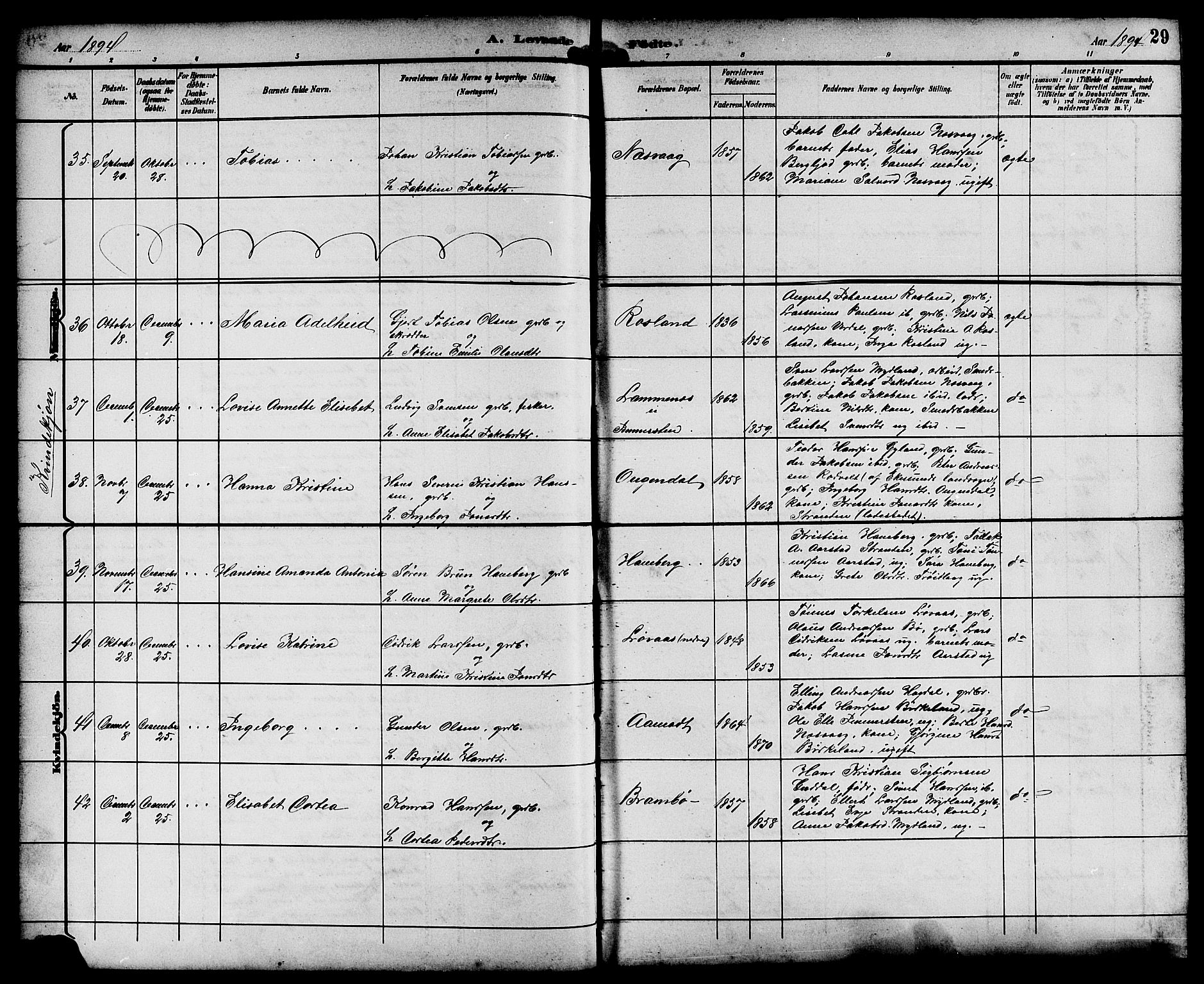 Sokndal sokneprestkontor, AV/SAST-A-101808: Parish register (copy) no. B 6, 1892-1907, p. 29