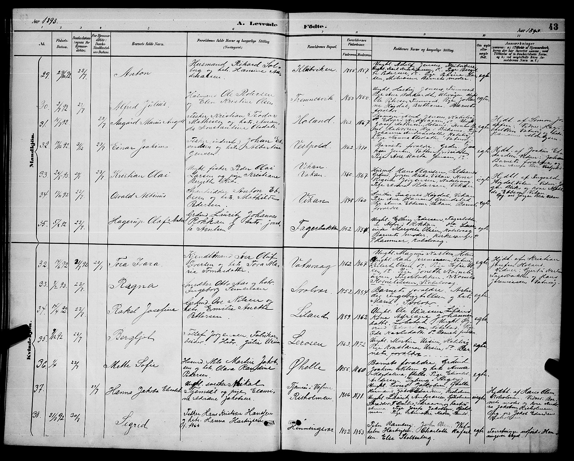 Ministerialprotokoller, klokkerbøker og fødselsregistre - Nordland, AV/SAT-A-1459/874/L1077: Parish register (copy) no. 874C06, 1891-1900, p. 43