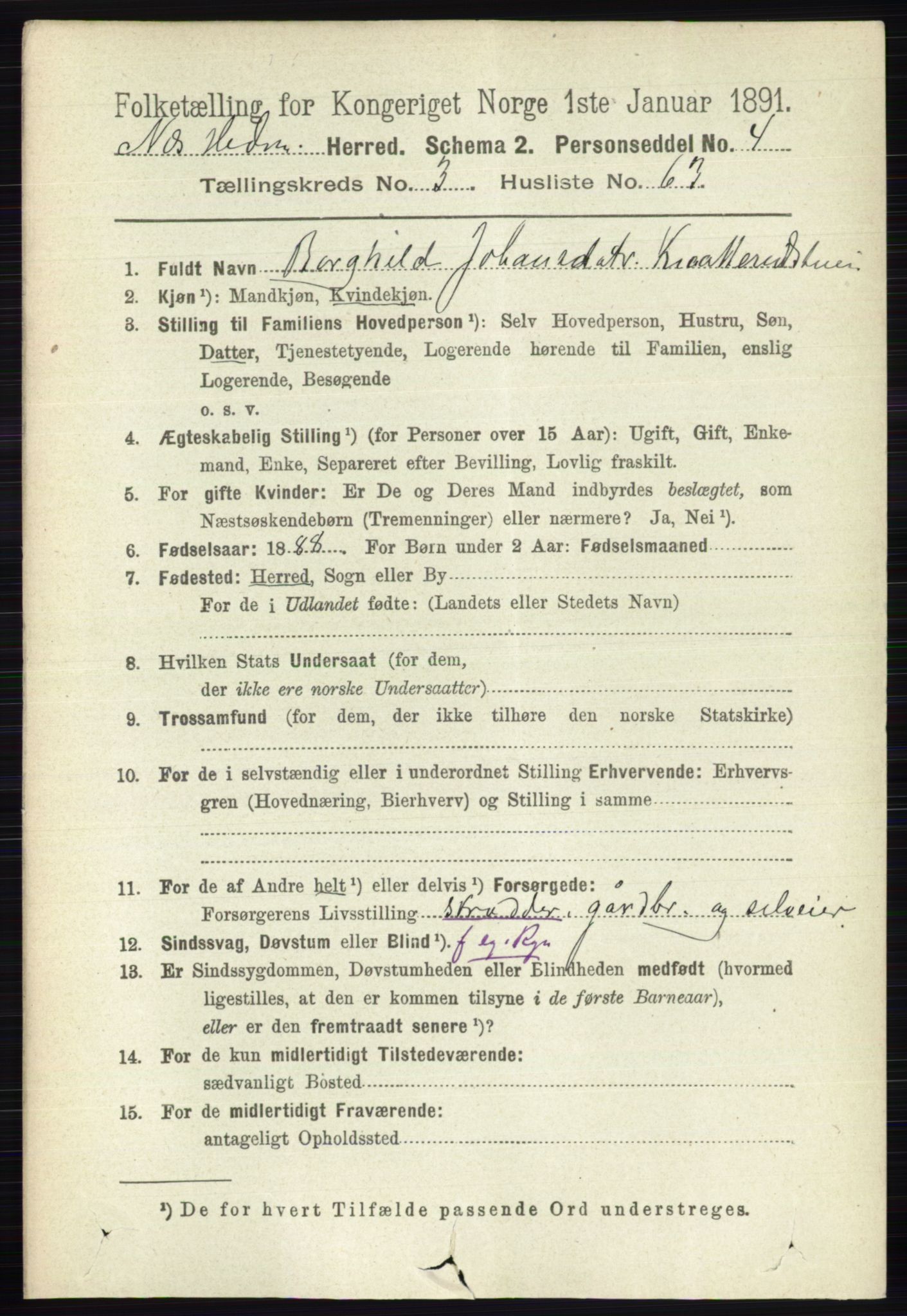 RA, 1891 census for 0411 Nes, 1891, p. 1948